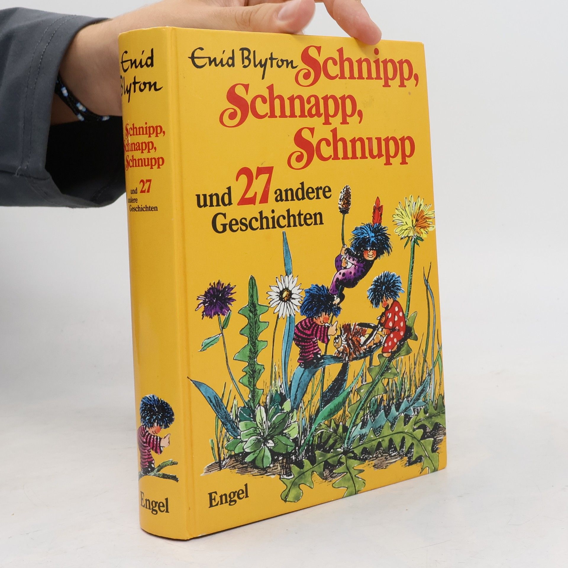Enid Blyton Schnipp, Schnapp, Schnupp und 27 andere Geschichten