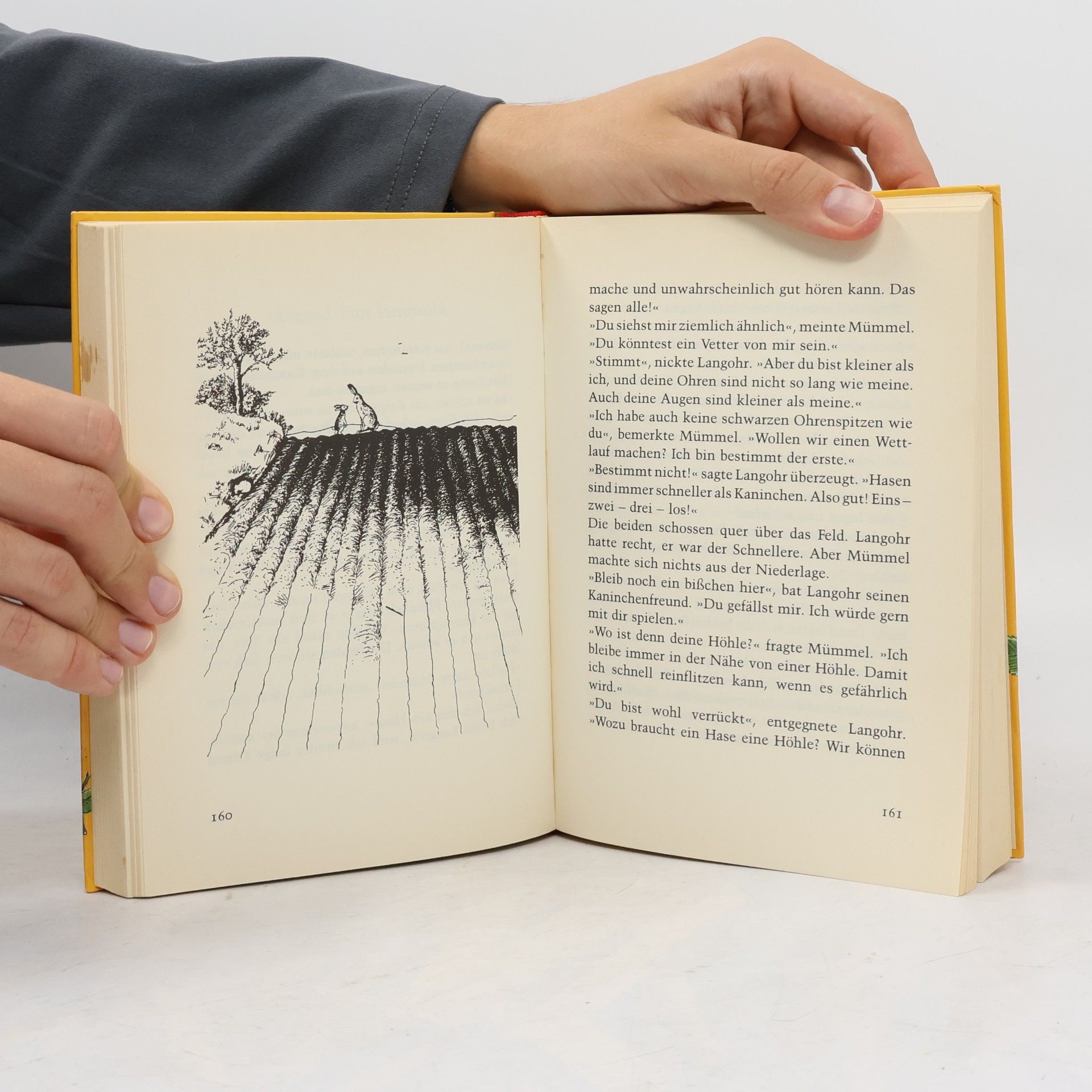 Enid Blyton Schnipp, Schnapp, Schnupp und 27 andere Geschichten