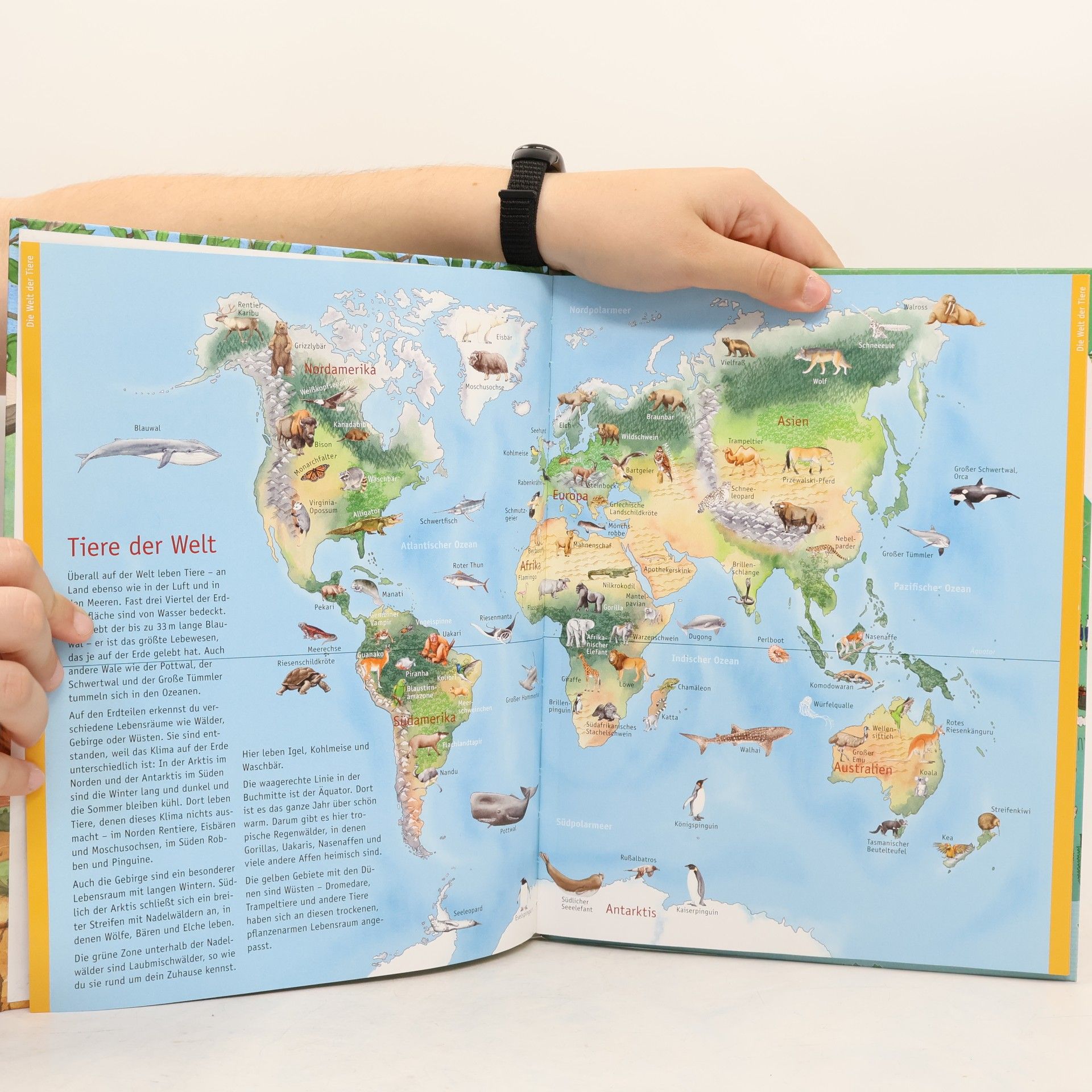 Autorenkollektiv Mein großer Atlas der Erde und ihrer Tiere