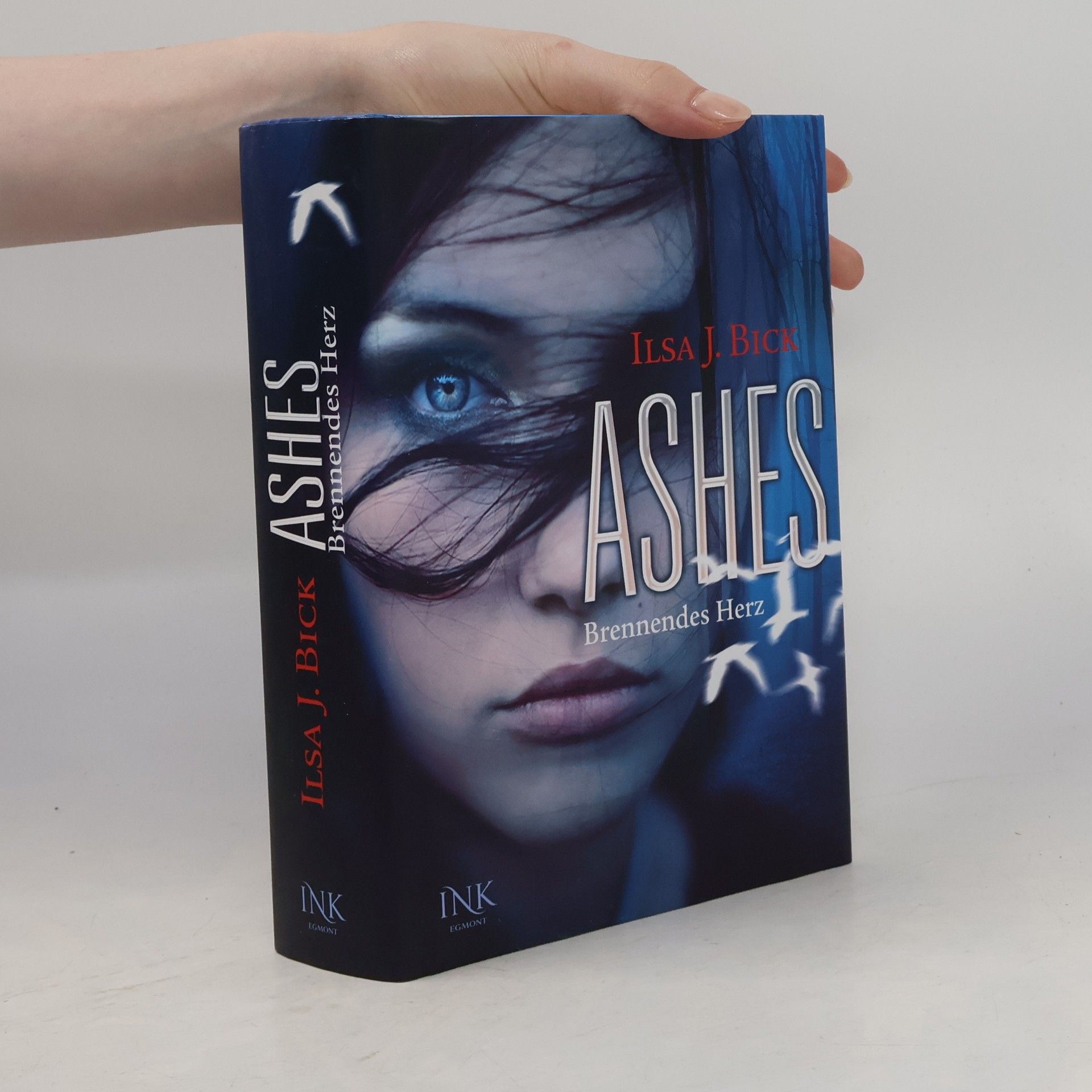 Ilsa J. Bick Ashes. Brennendes Herz