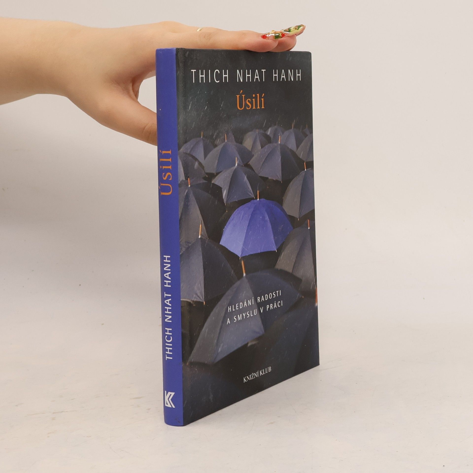 Thich Nhat Hanh Úsilí. Hledání radosti a smyslu v práci