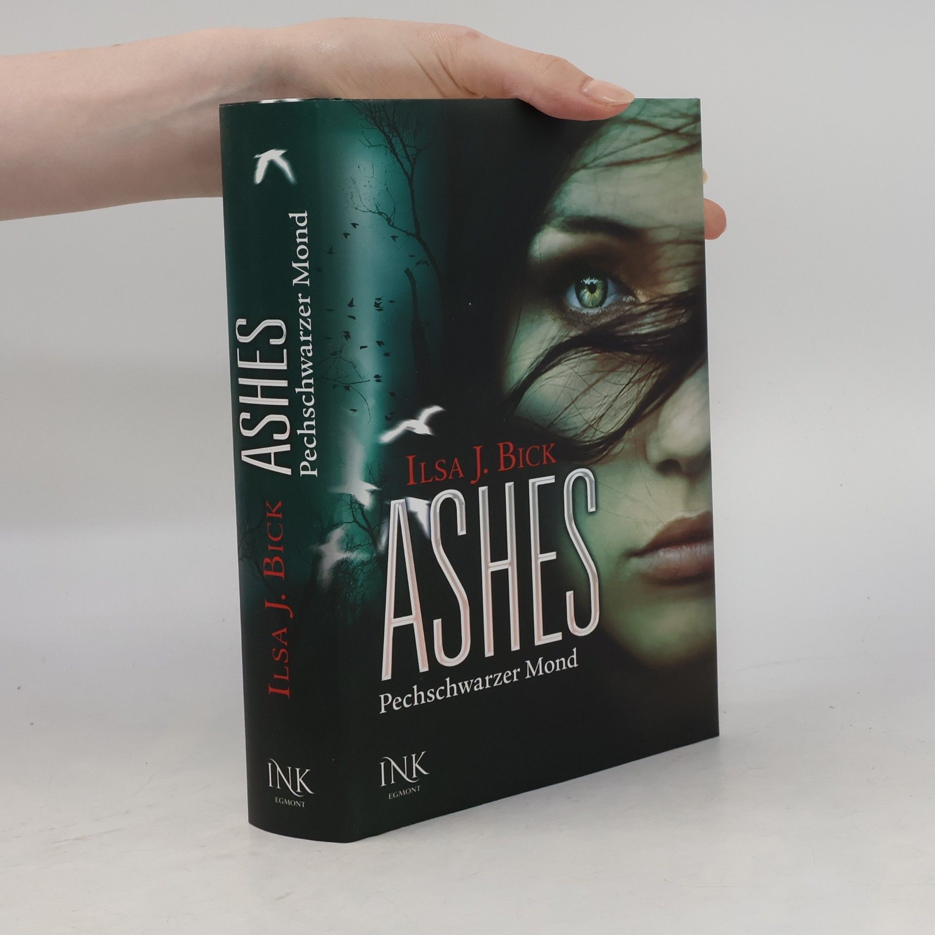 Ilsa J. Bick Ashes - Pechschwarzer Mond