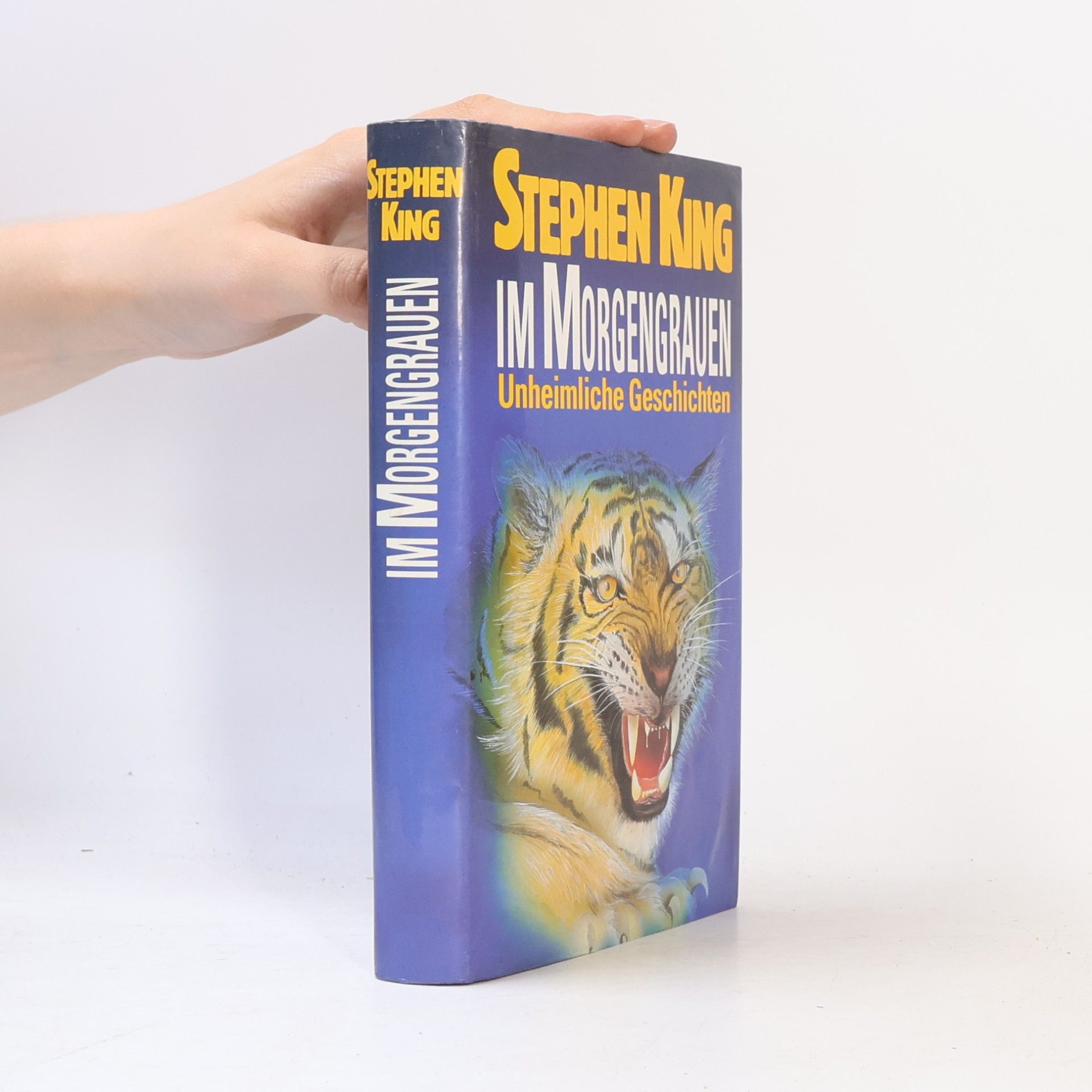 Stephen King Im Morgengrauen