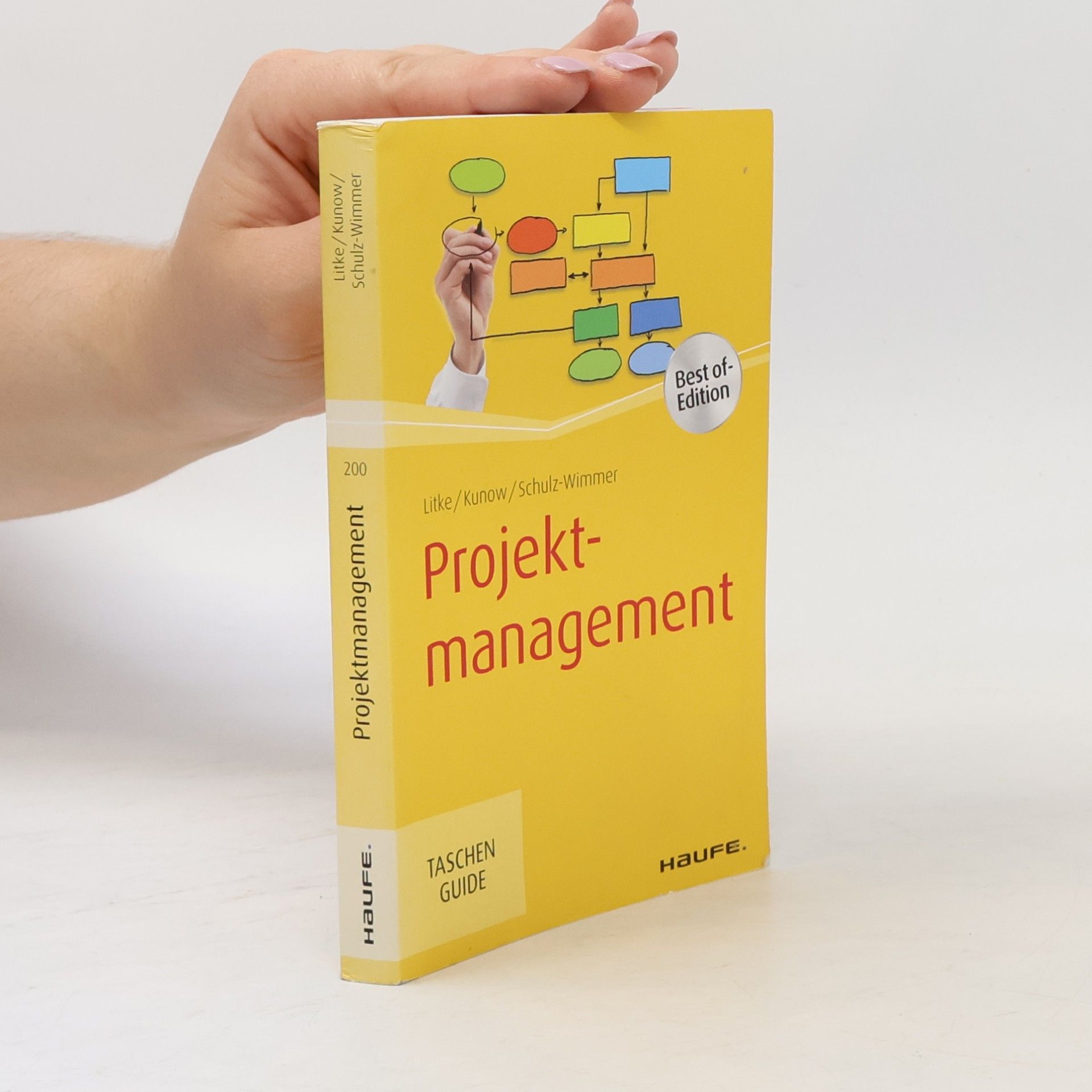 Hans-Dieter Litke Projektmanagement