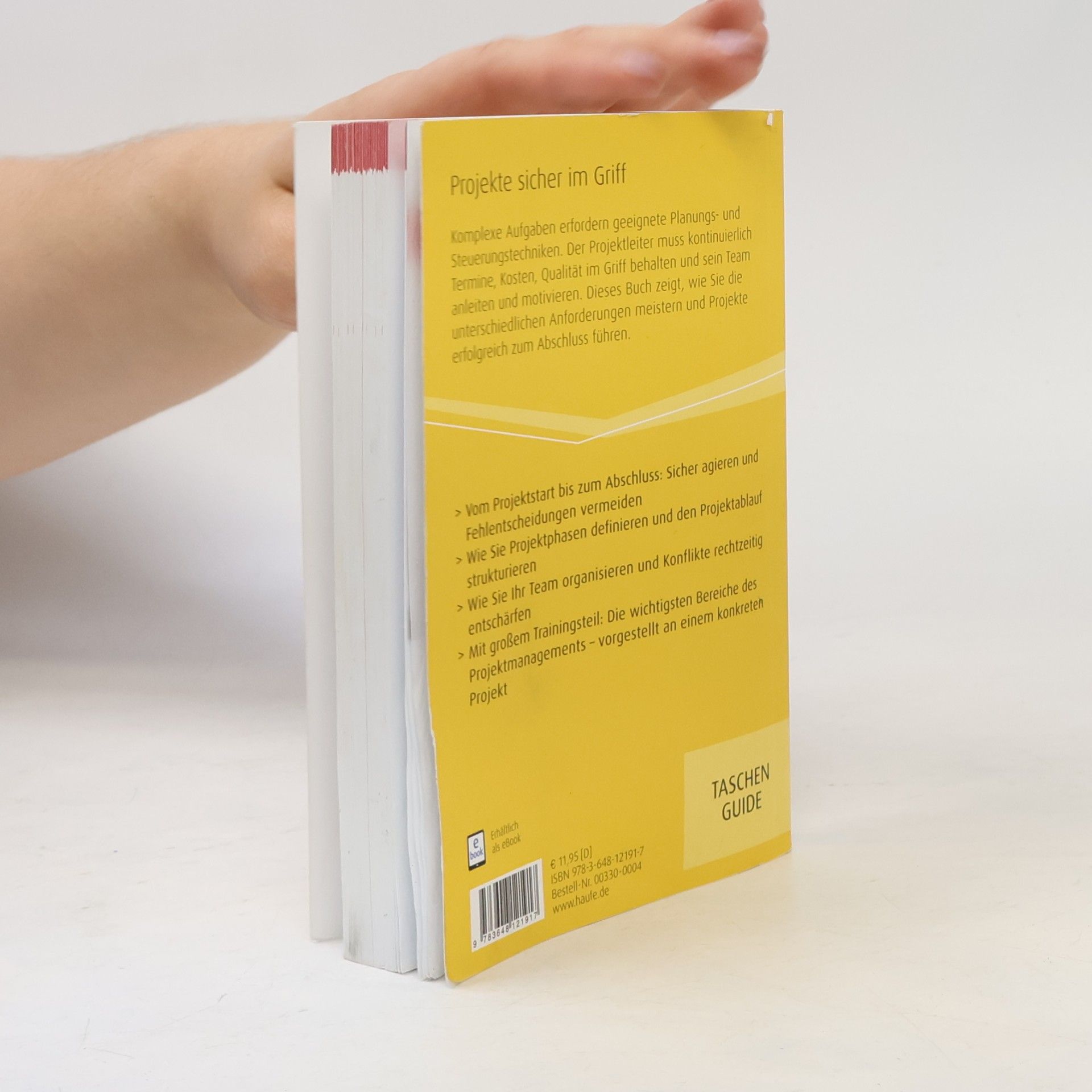 Hans-Dieter Litke Projektmanagement