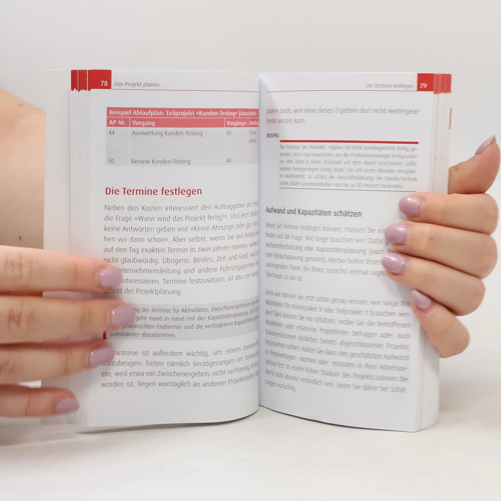 Hans-Dieter Litke Projektmanagement