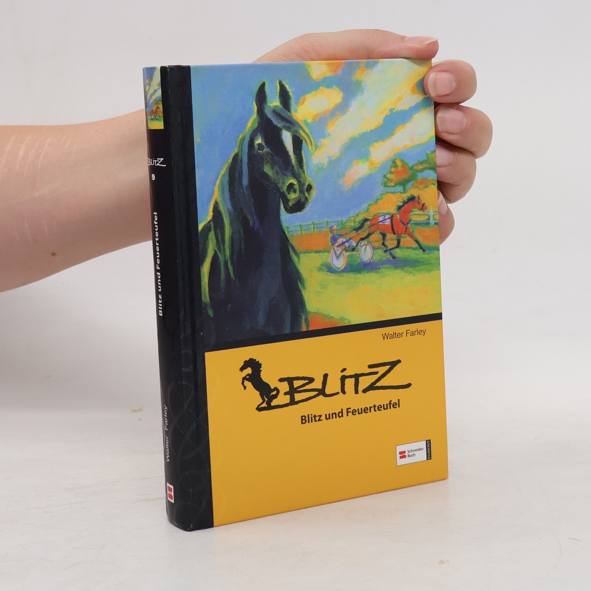 Walter Farley Blitz und Feuerteufel. Band 9