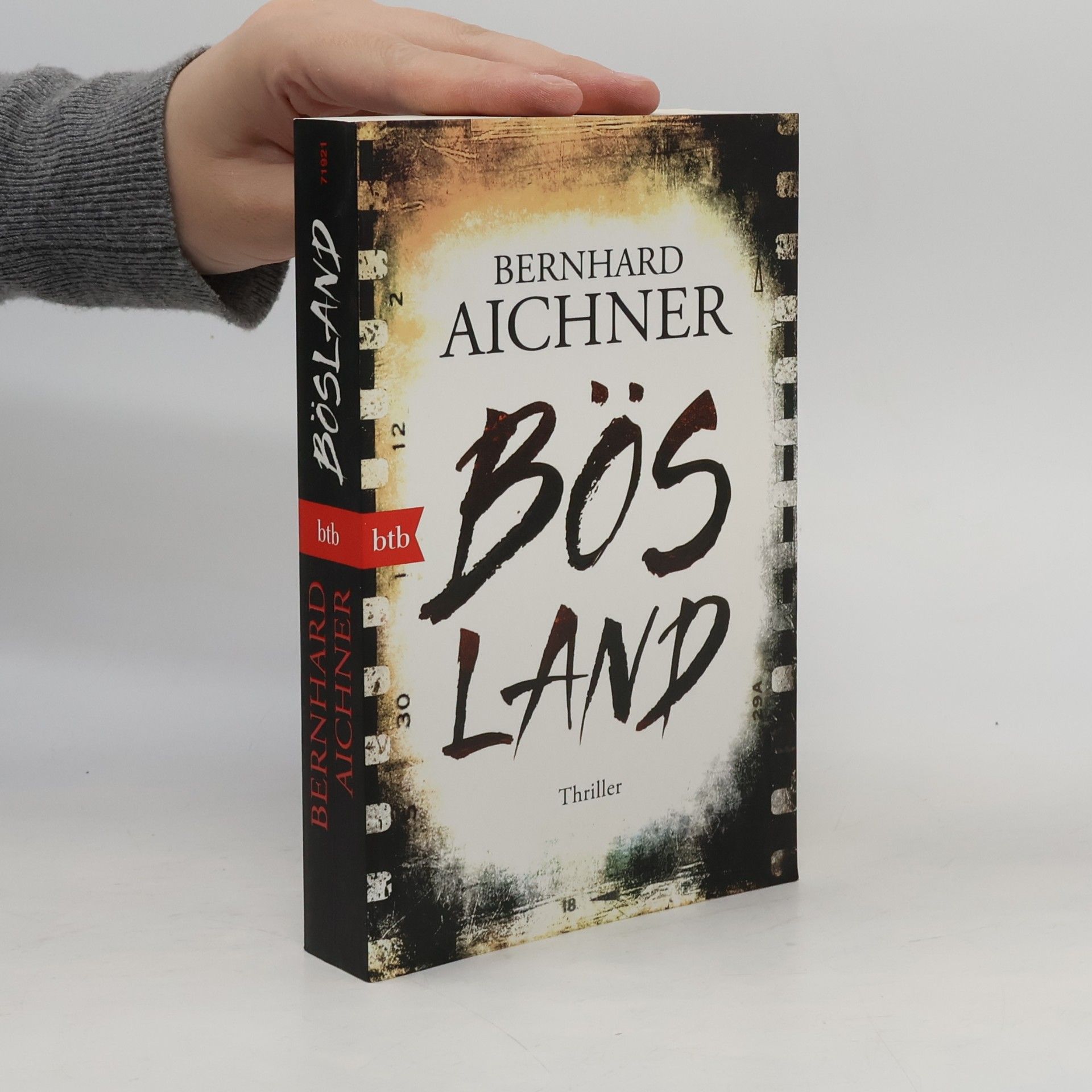 Bernhard Aichner Bösland