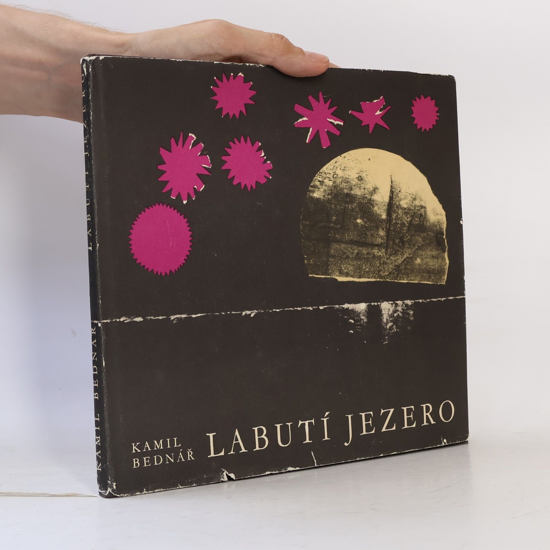 Kamil Bednář Labutí jezero