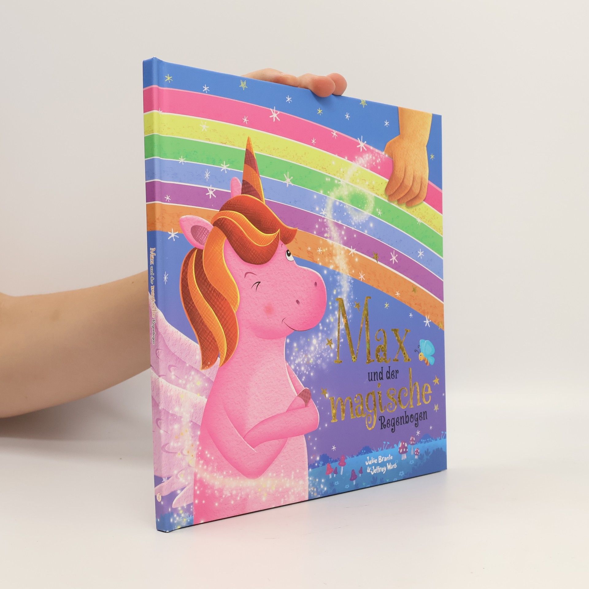 Max und der magische Regenbogen