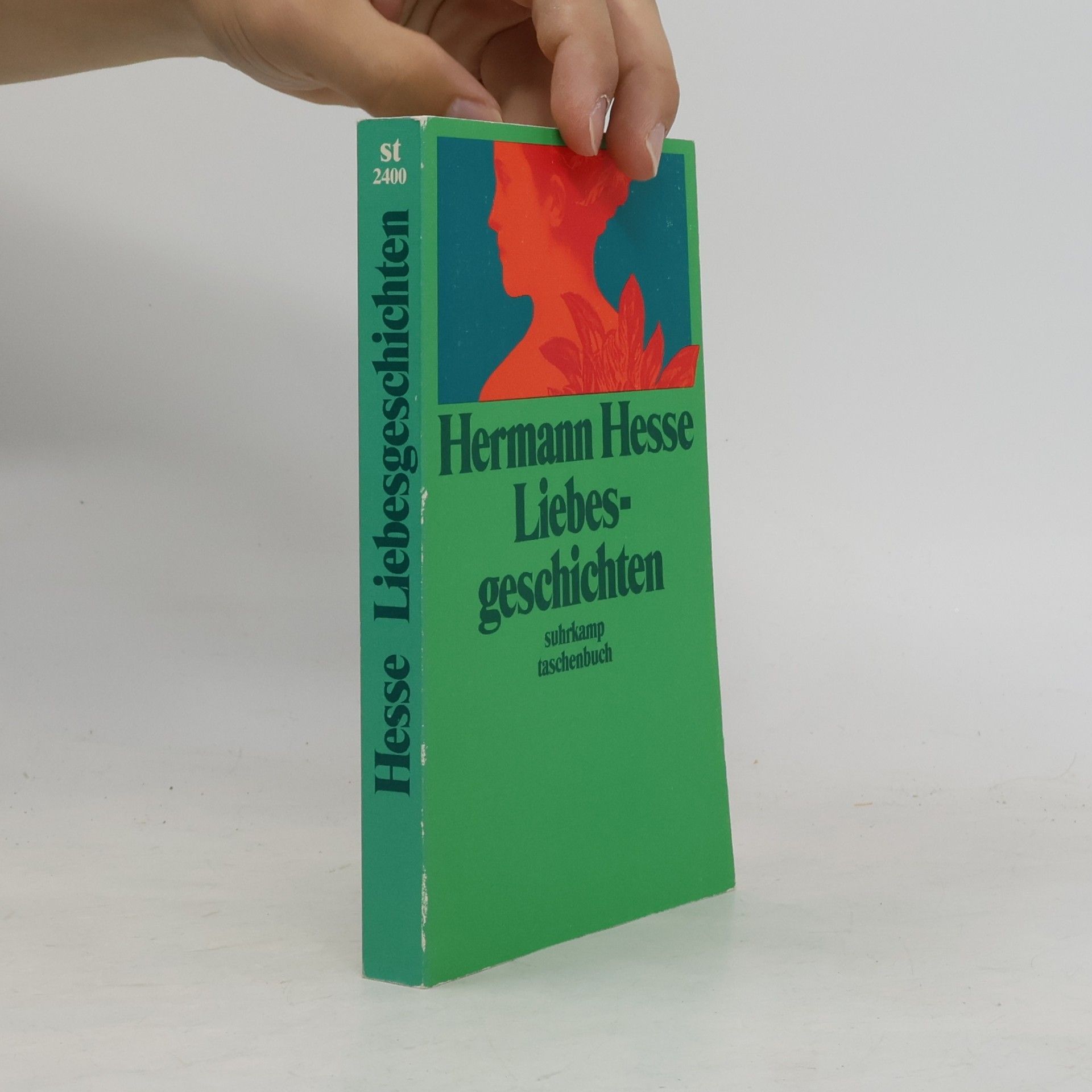 Hermann Hesse Liebesgeschichten