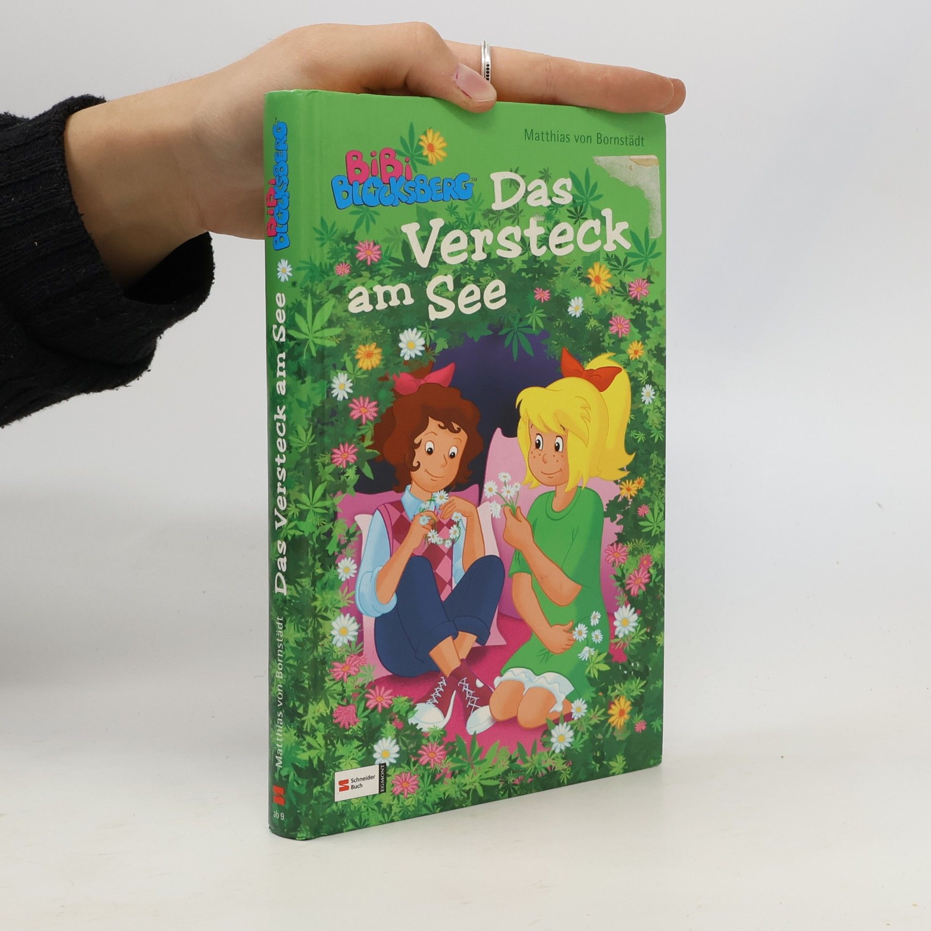 Bibi Blocksberg - das Versteck am See