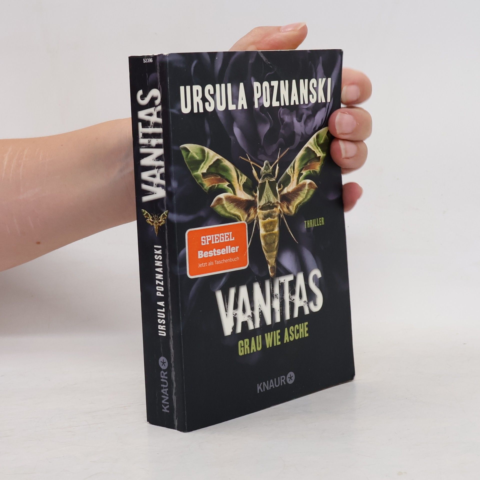 Ursula Poznanski Vanitas. Grau wie Asche