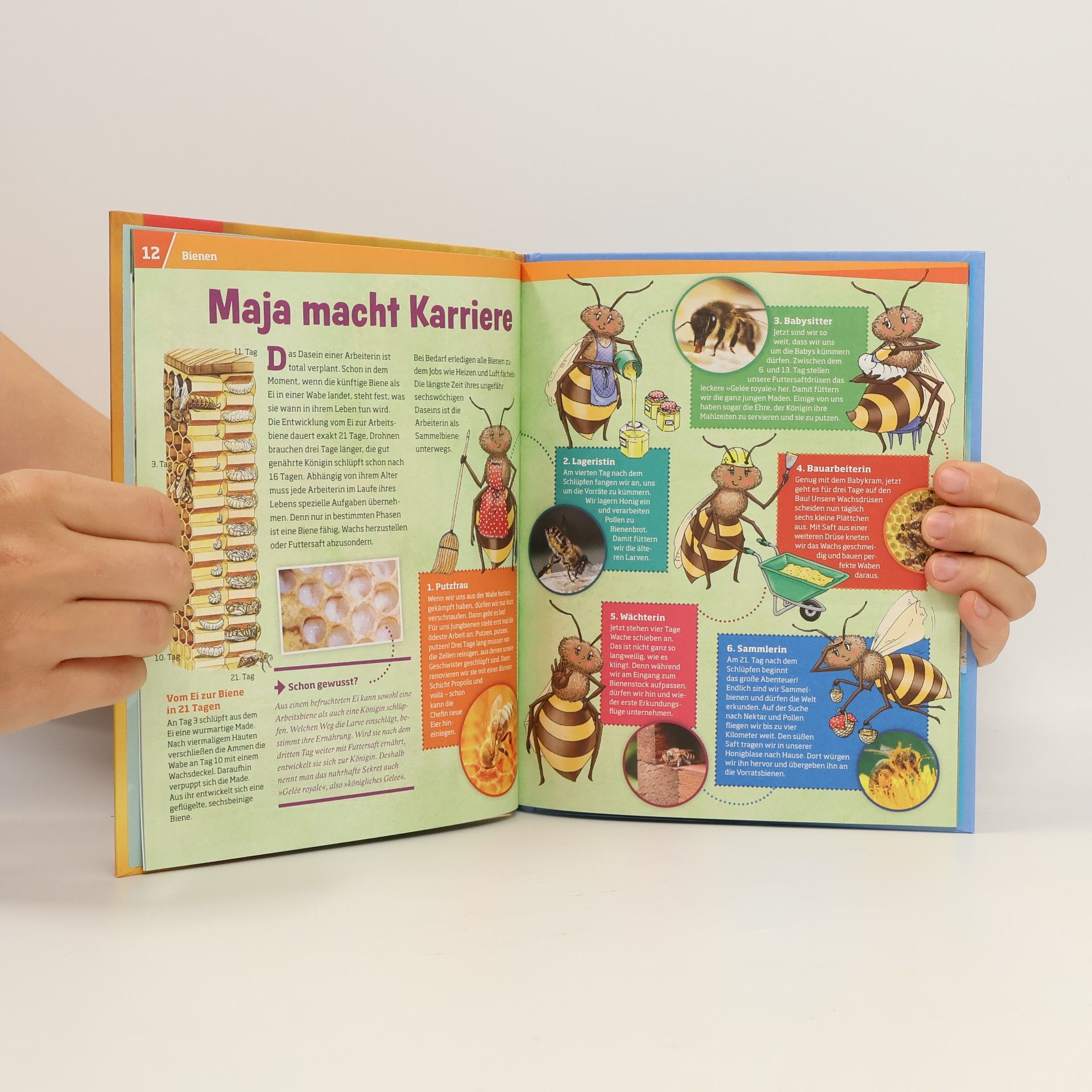 Autorenkollektiv Was ist was. Bienen und Wespen