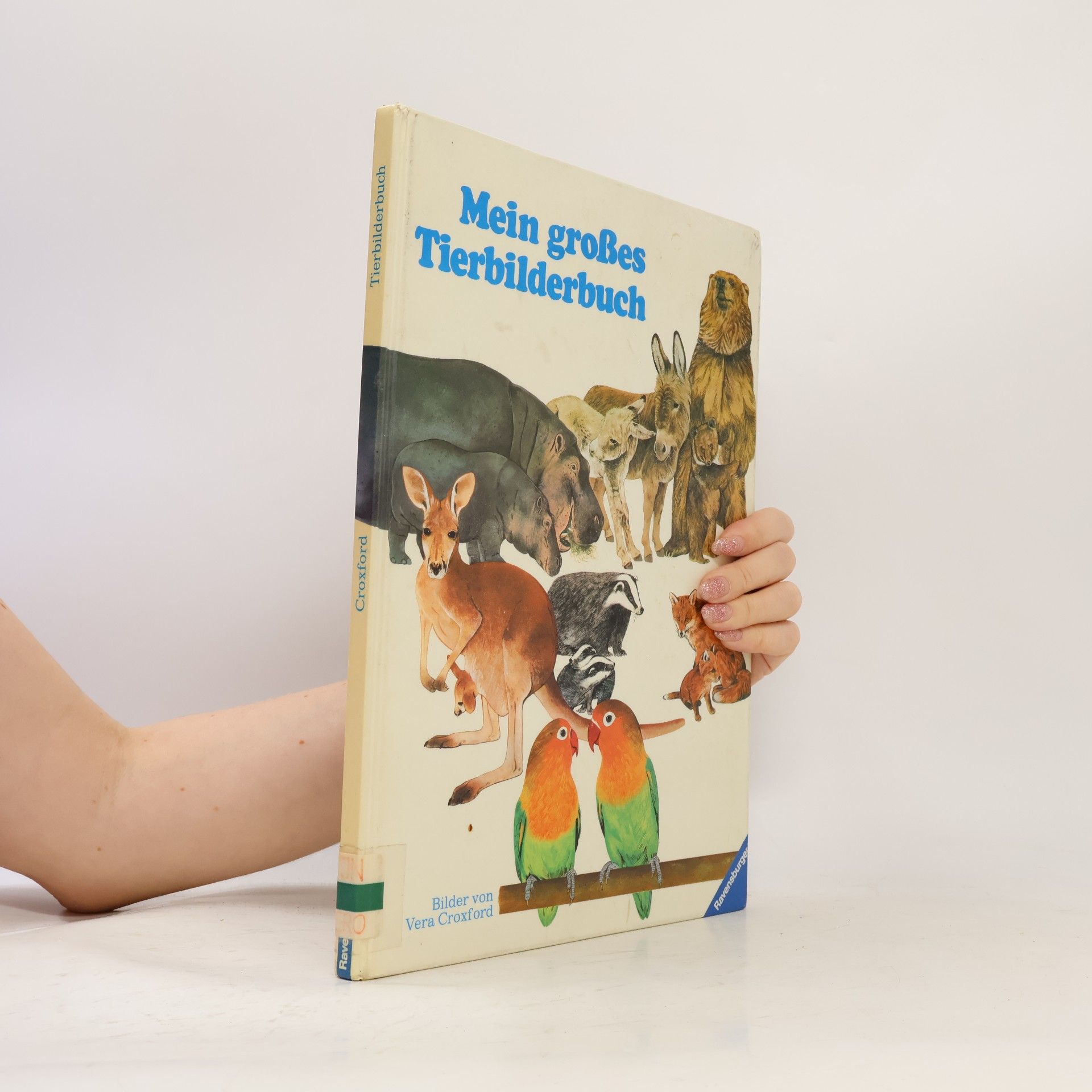 Mein großes Tierbilderbuch