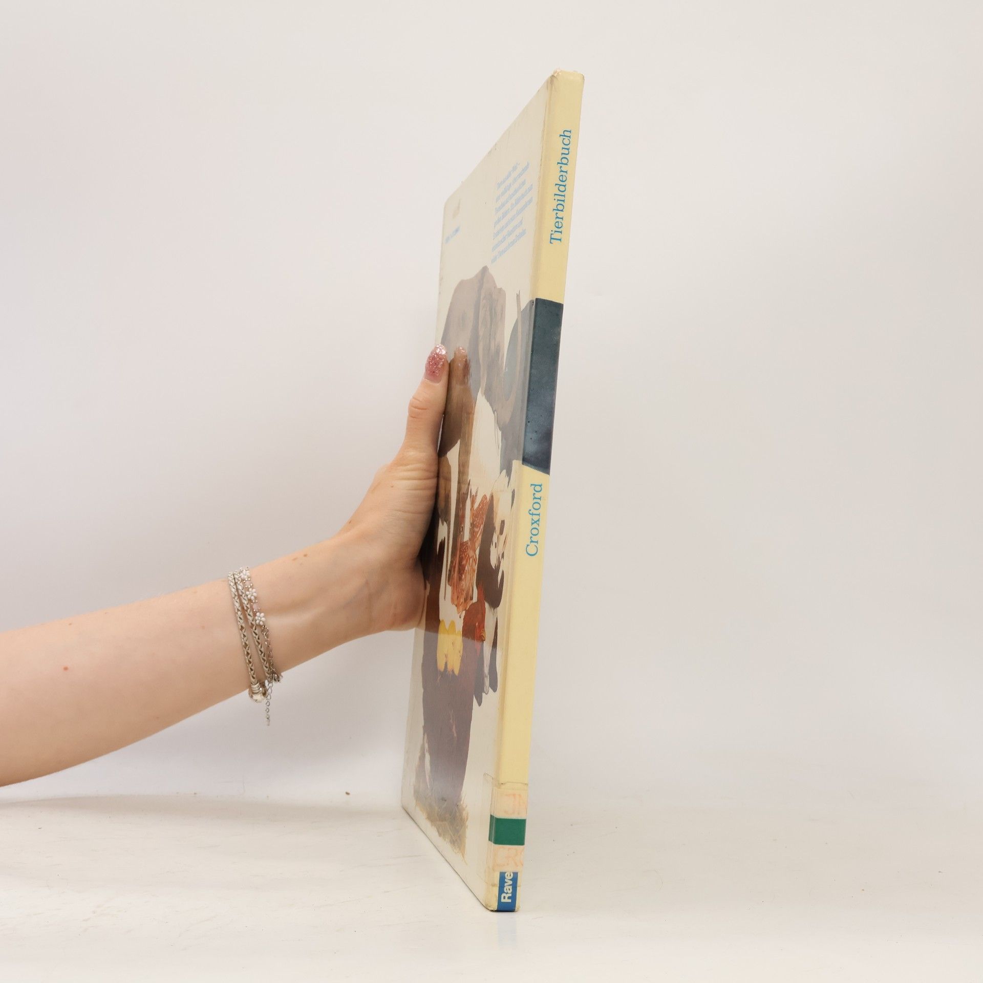 Vera Croxford Mein großes Tierbilderbuch