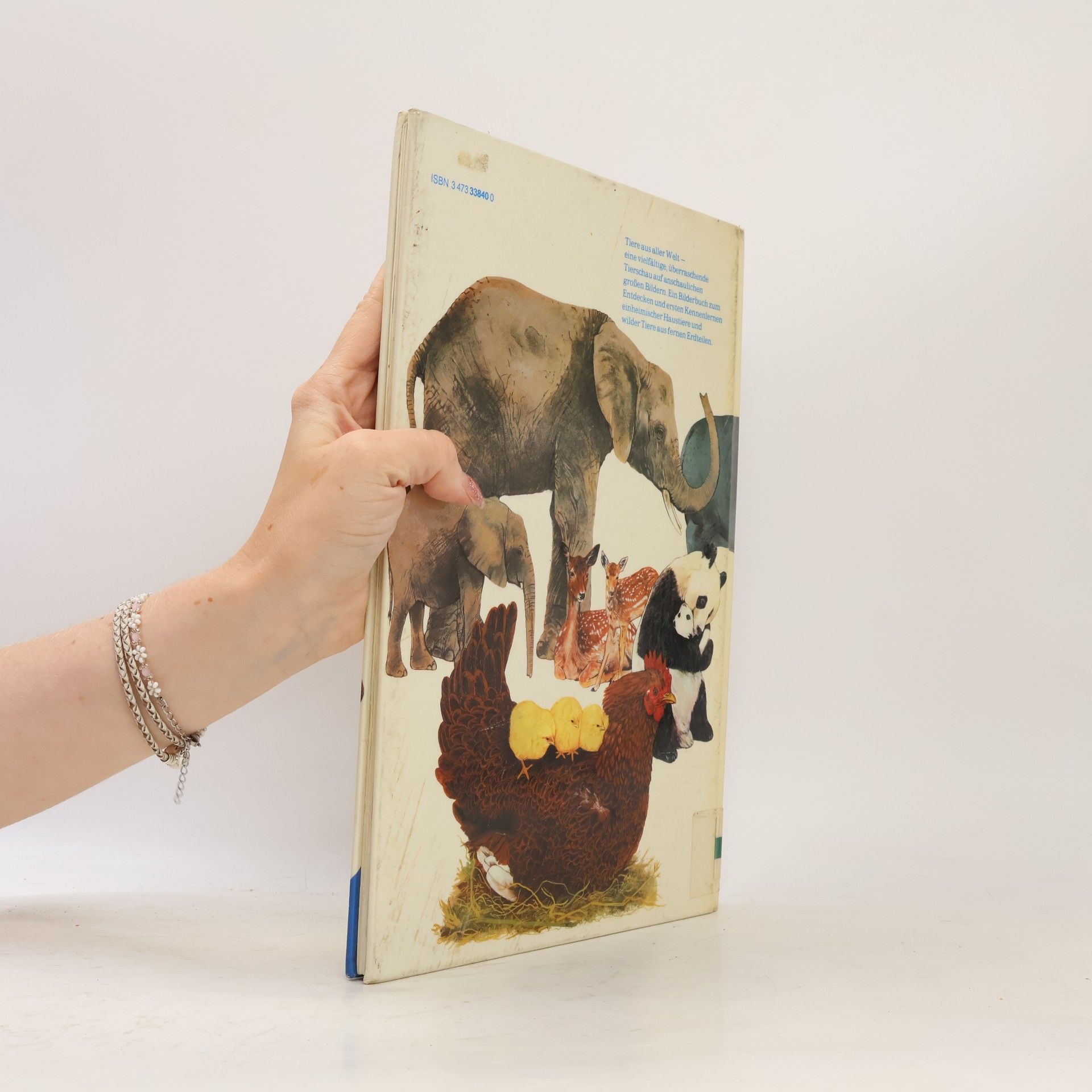 Vera Croxford Mein großes Tierbilderbuch