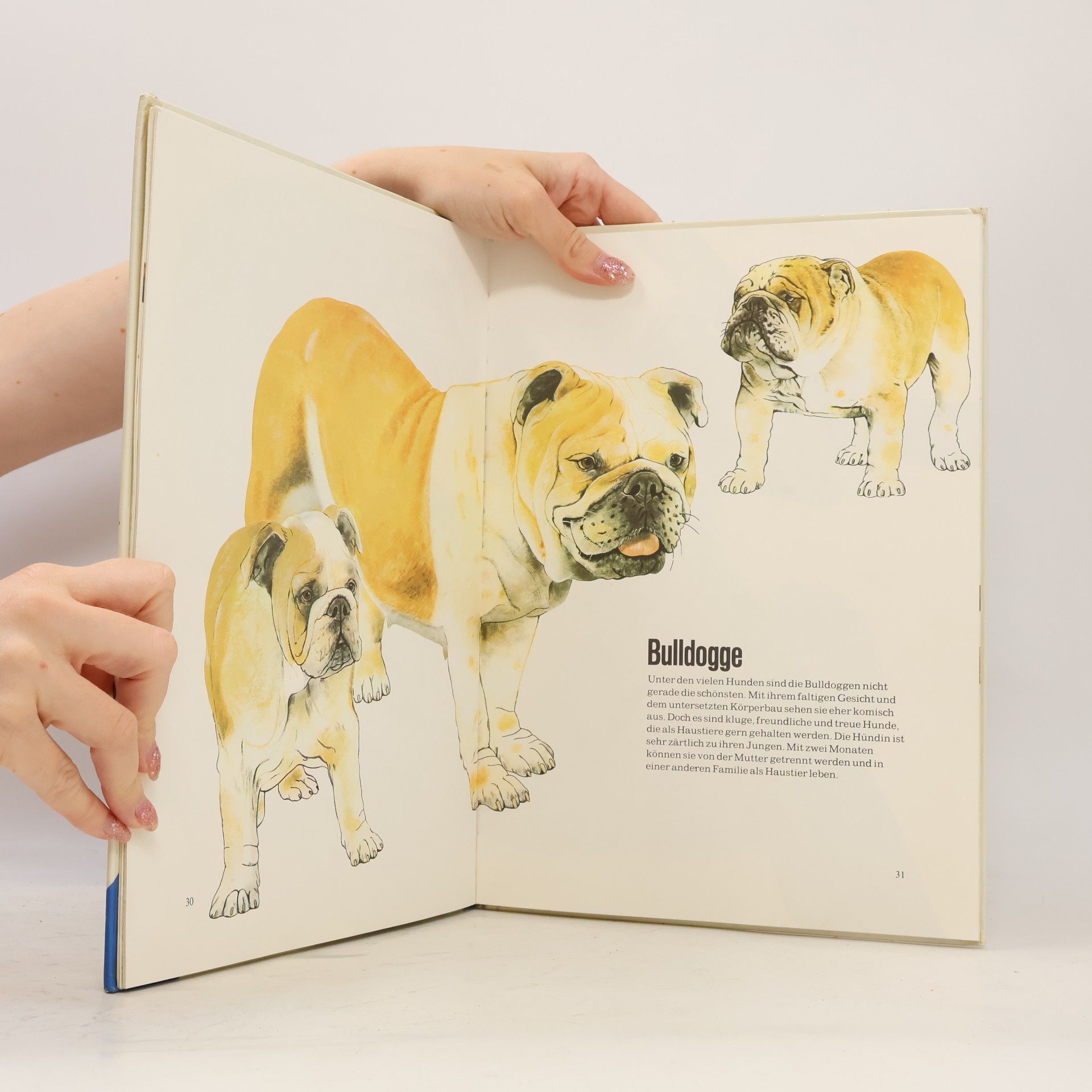 Vera Croxford Mein großes Tierbilderbuch