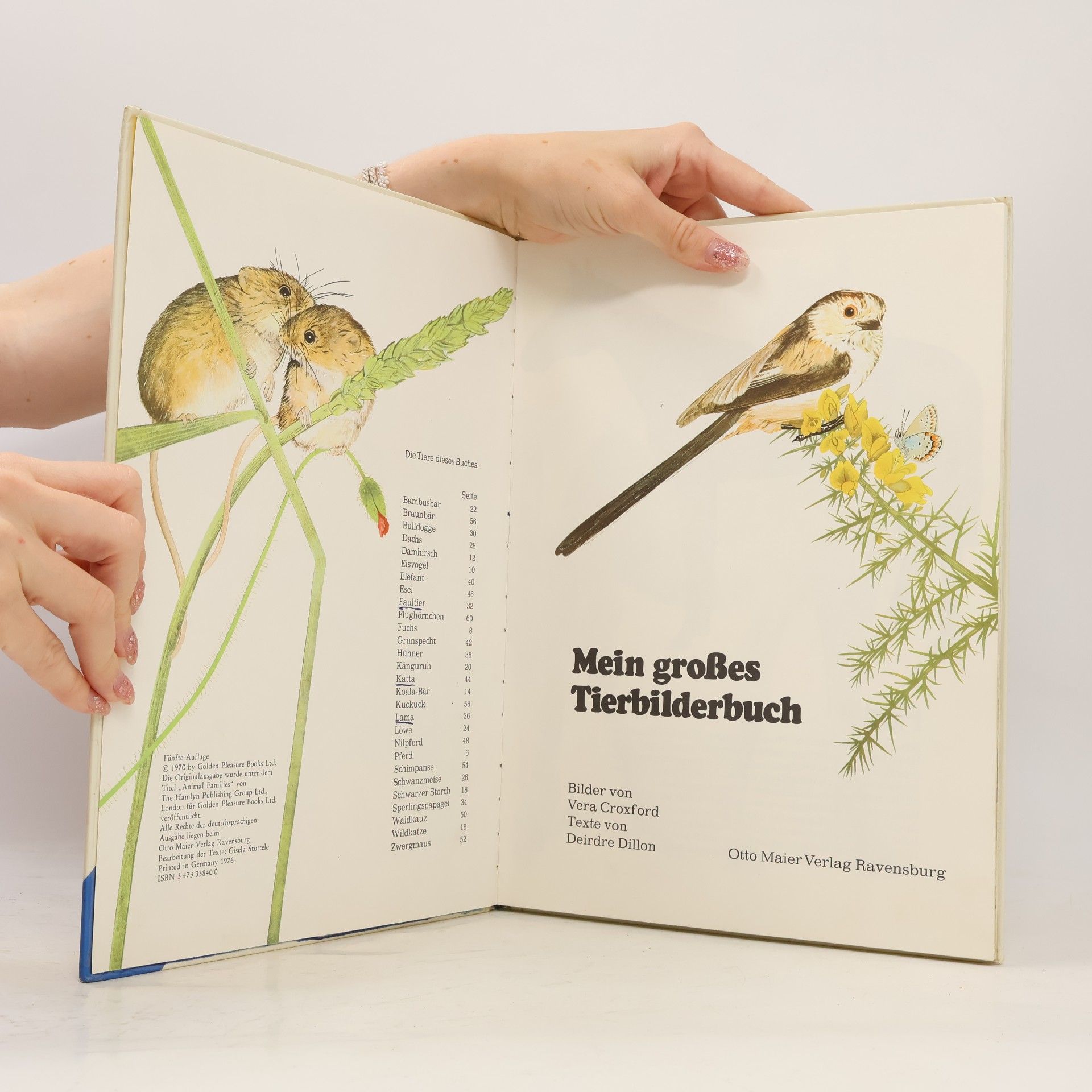 Vera Croxford Mein großes Tierbilderbuch