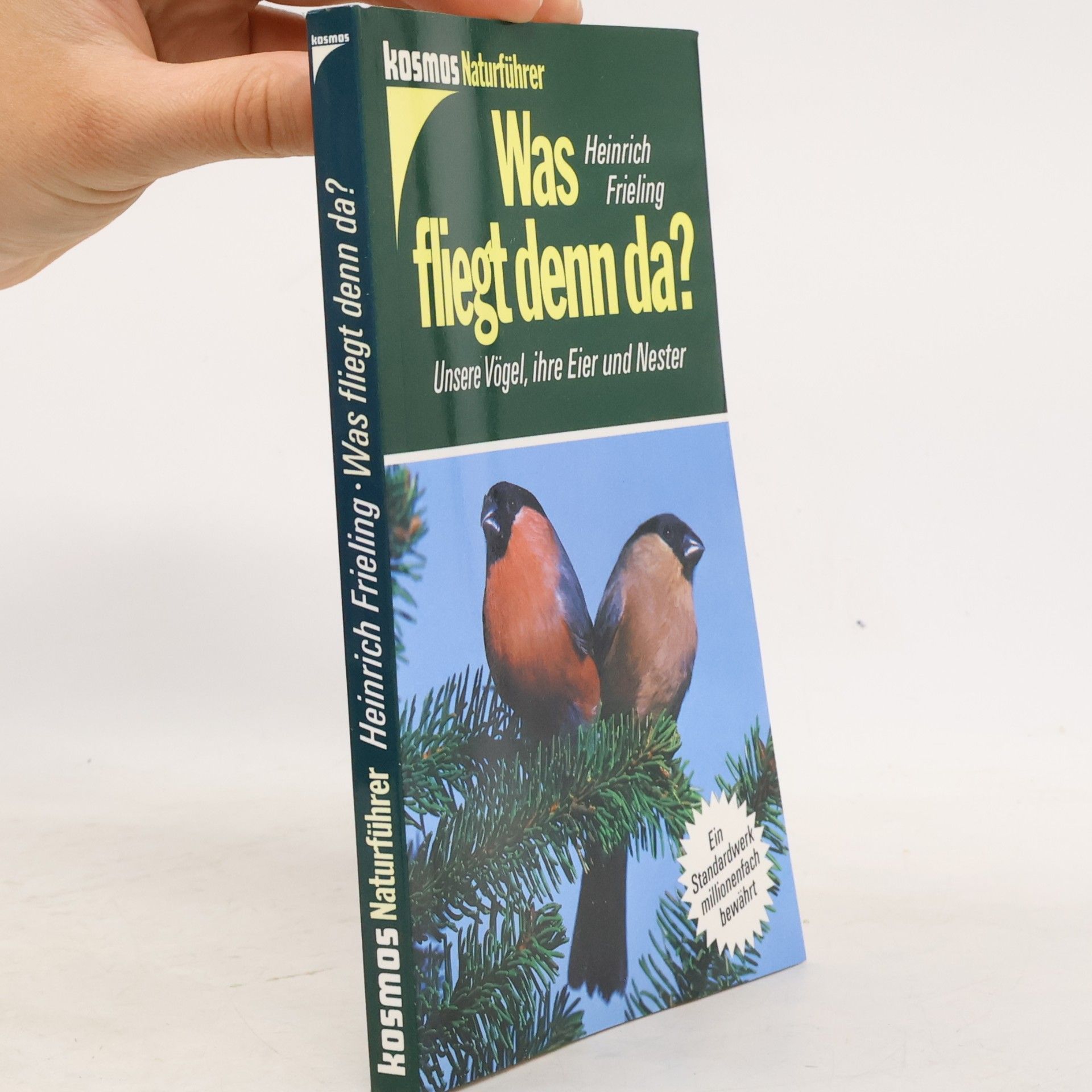 Heinrich Frieling Was fliegt denn da?