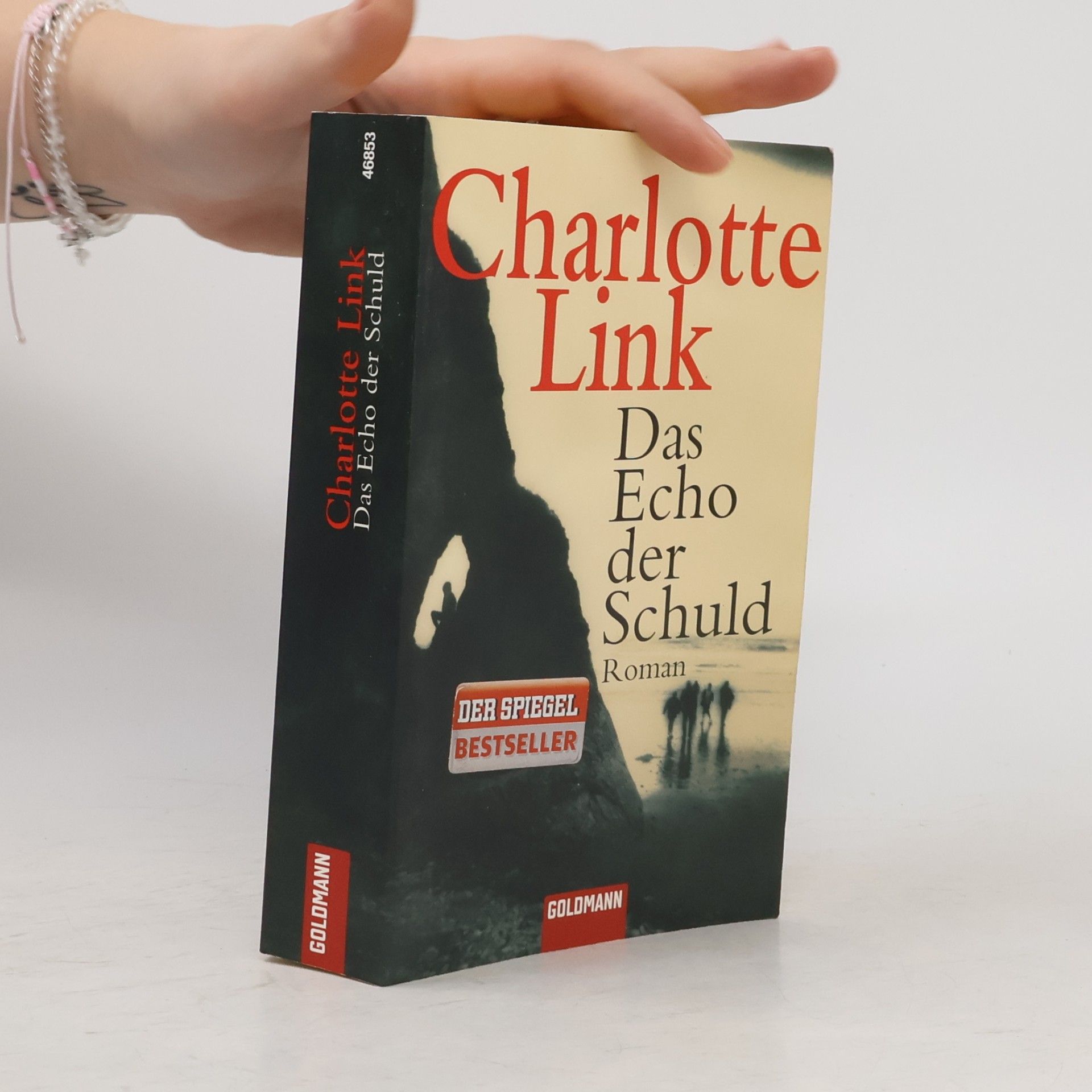Charlotte Link Das Echo der Schuld