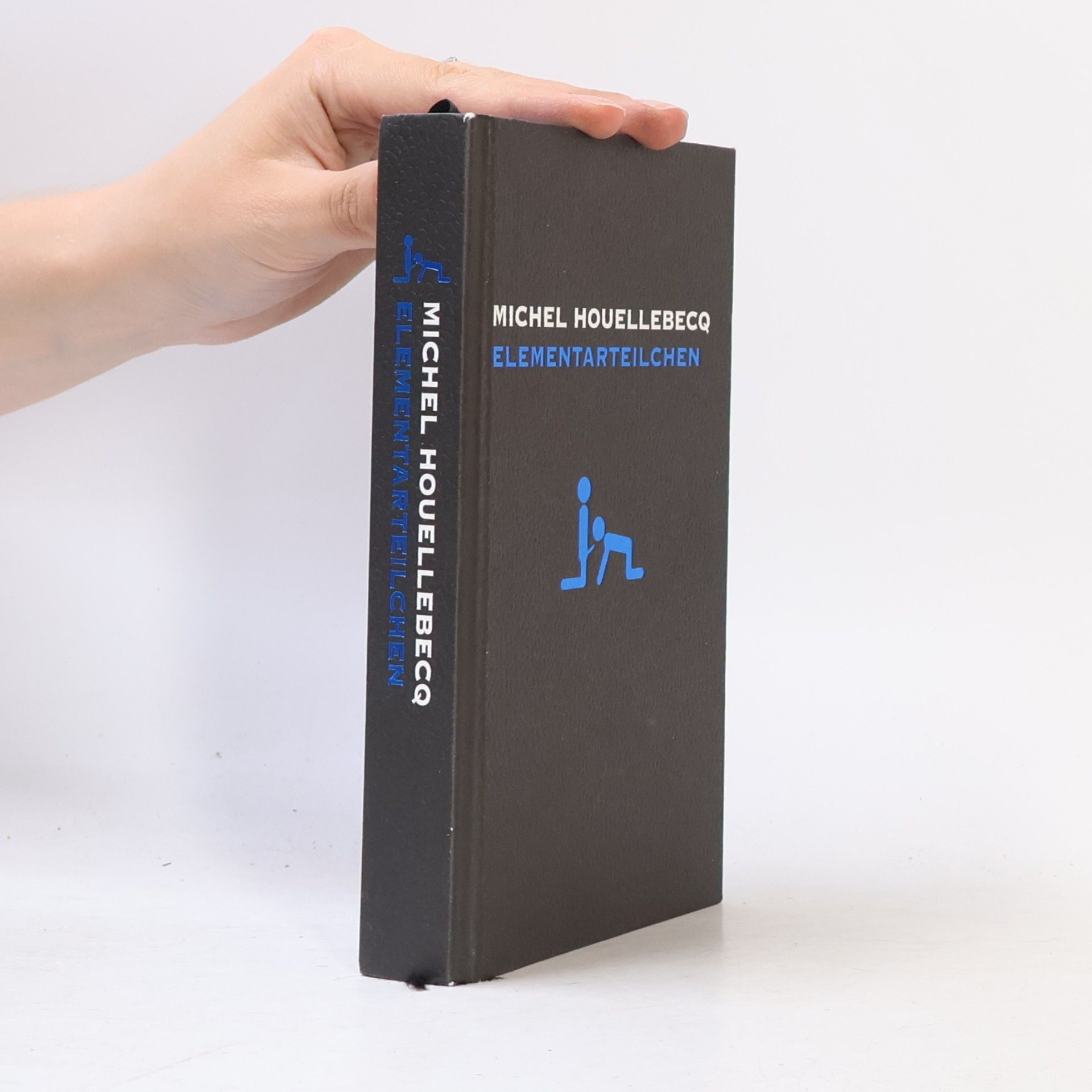 Michel Houellebecq Elementarteilchen