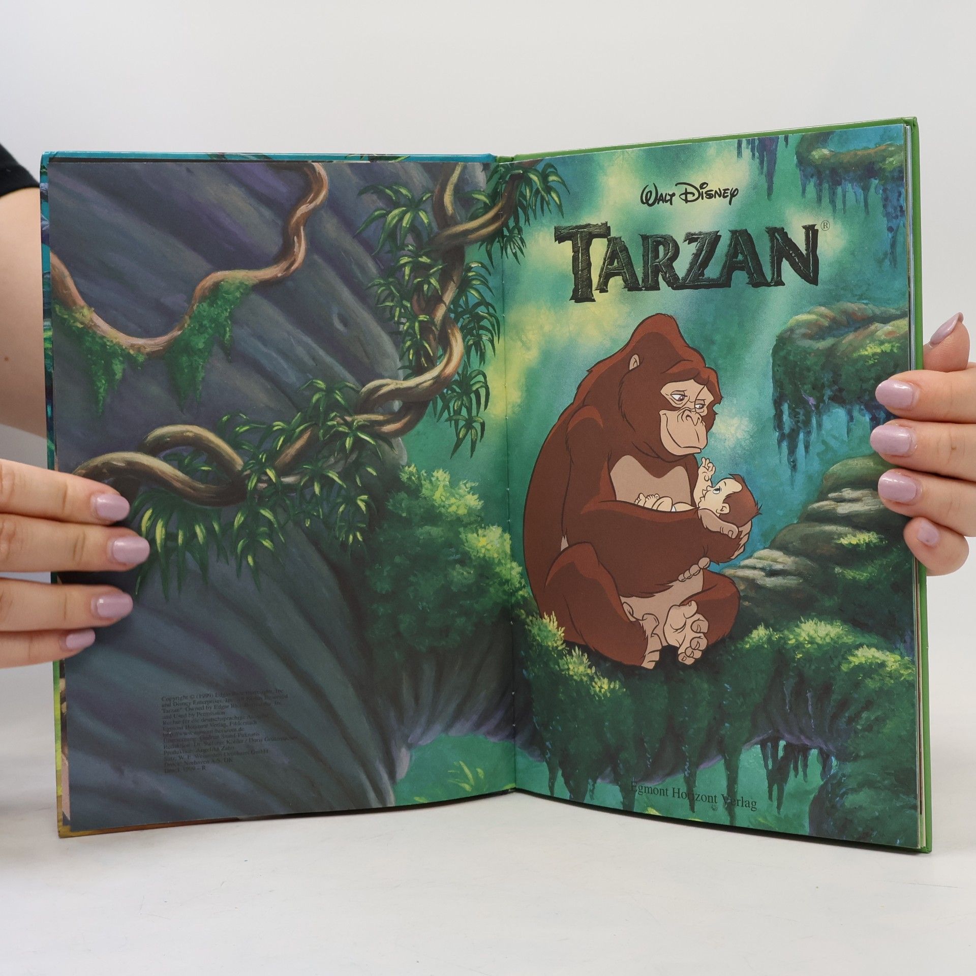 Walt Disney Tarzan