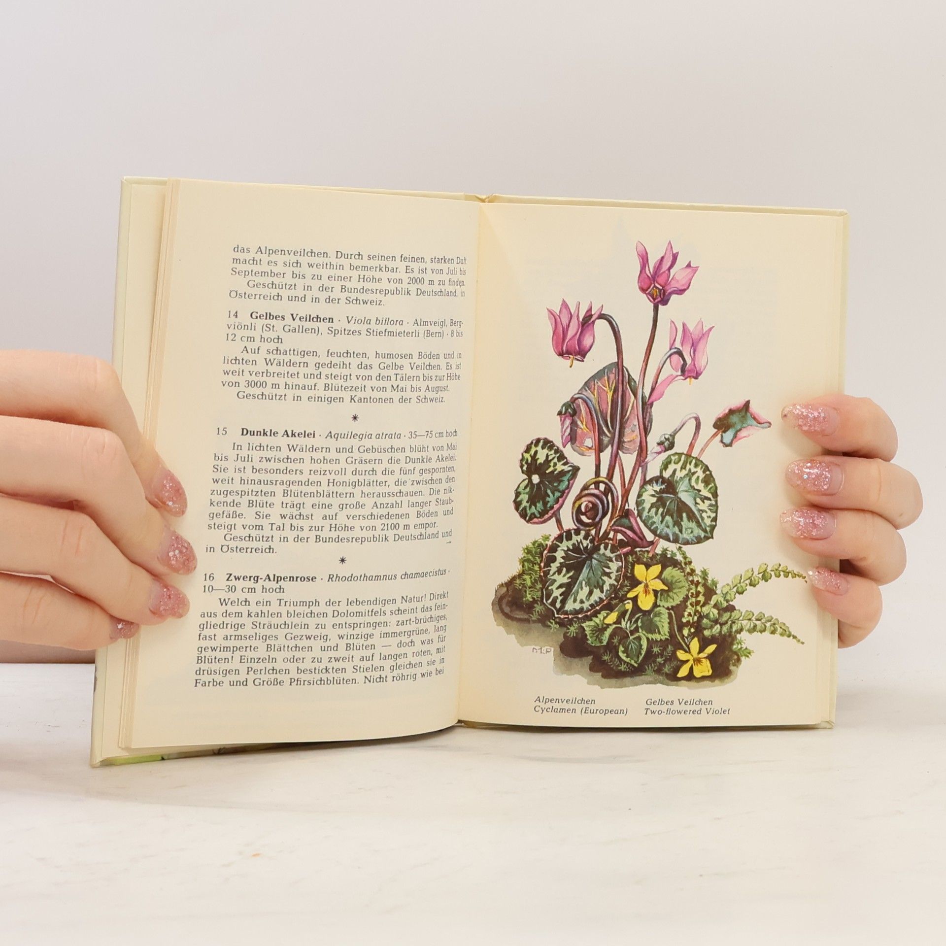 K. H. Waggerl Die schönsten Alpenblumen