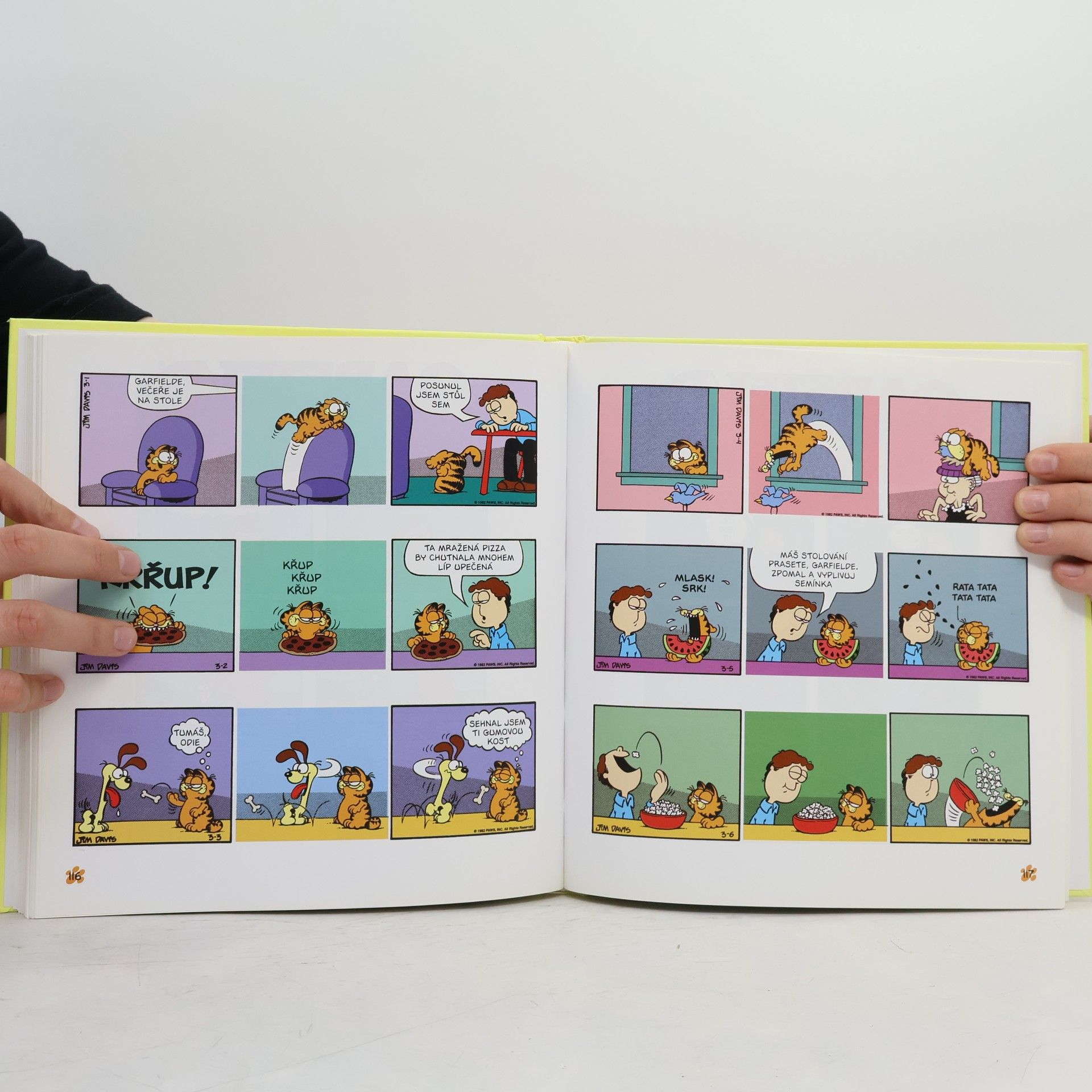 Jim Davis Garfield užívá života