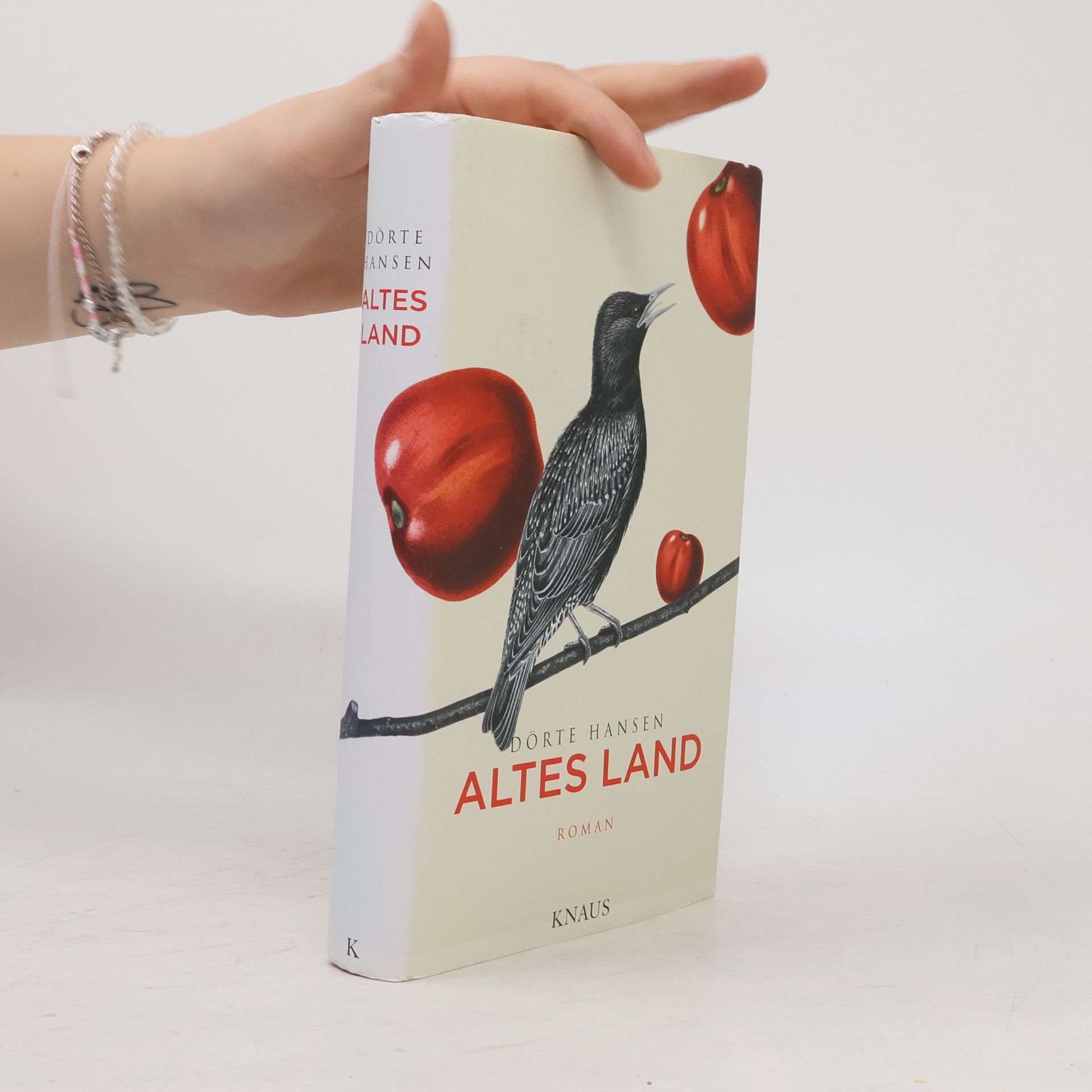 Dörte Hansen Altes Land
