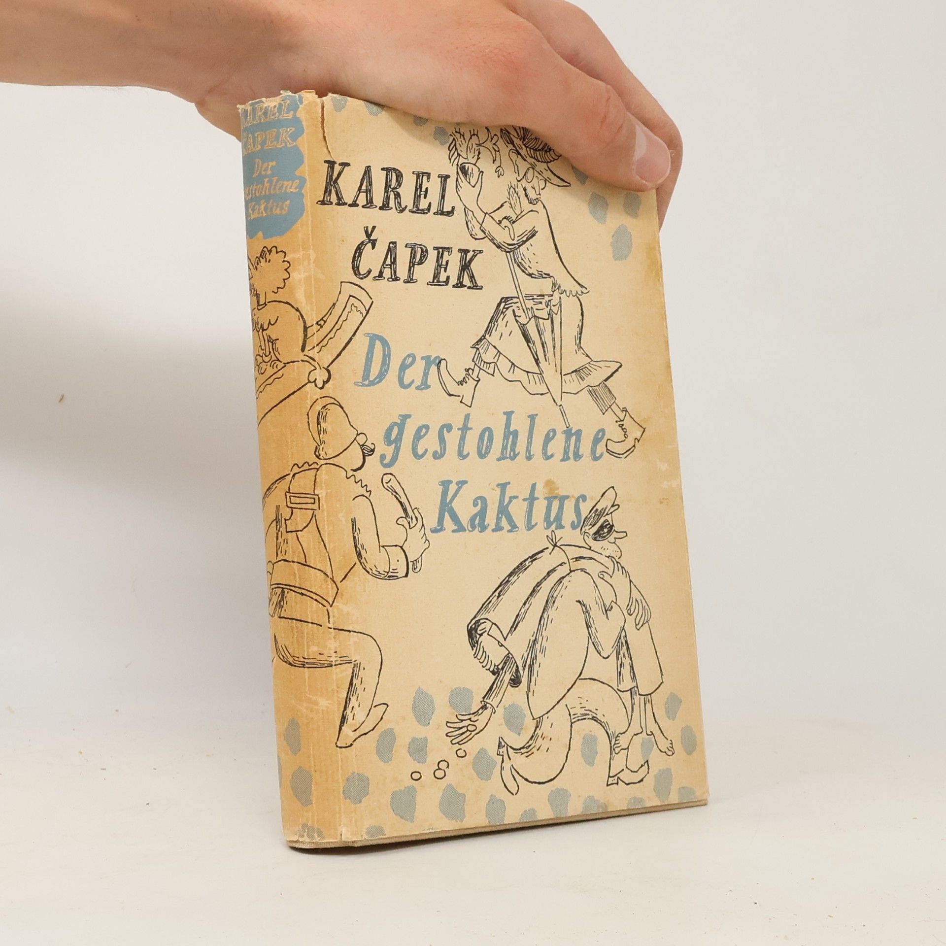 Der gestohlene Kaktus