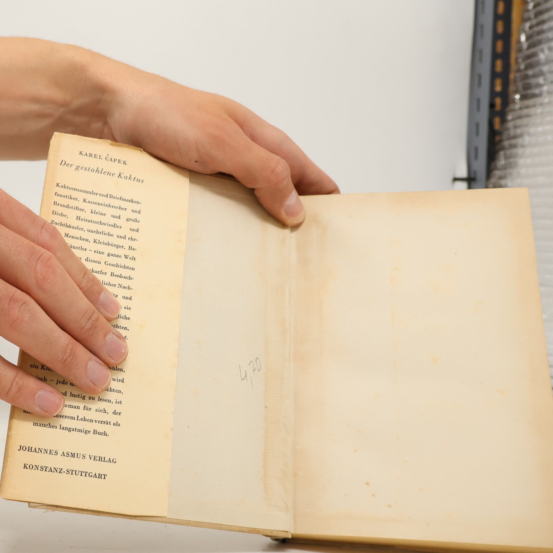Karel Čapek Der gestohlene Kaktus
