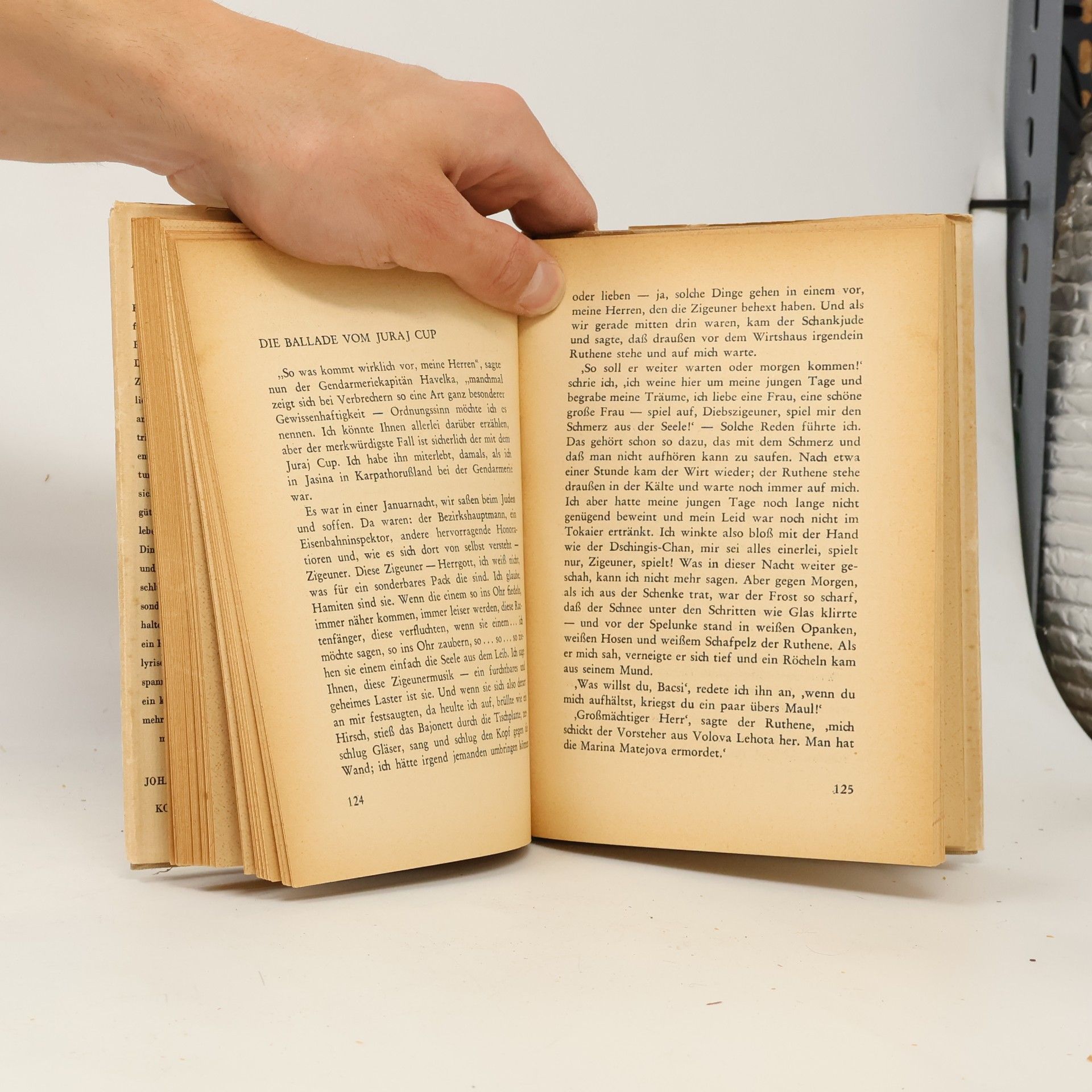 Karel Čapek Der gestohlene Kaktus
