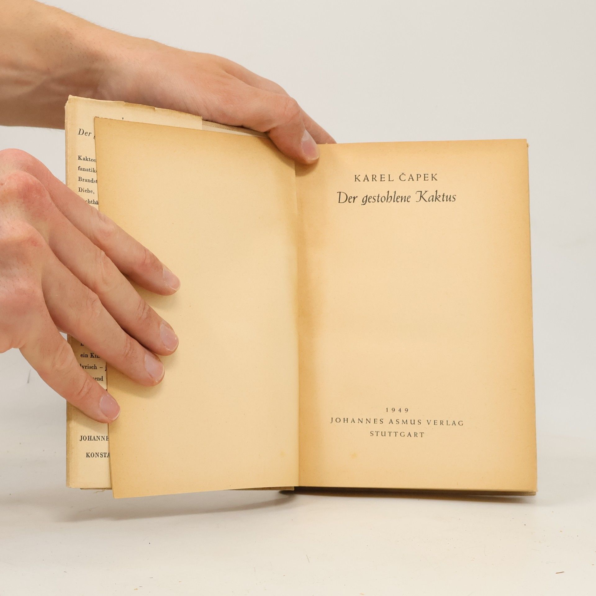 Karel Čapek Der gestohlene Kaktus