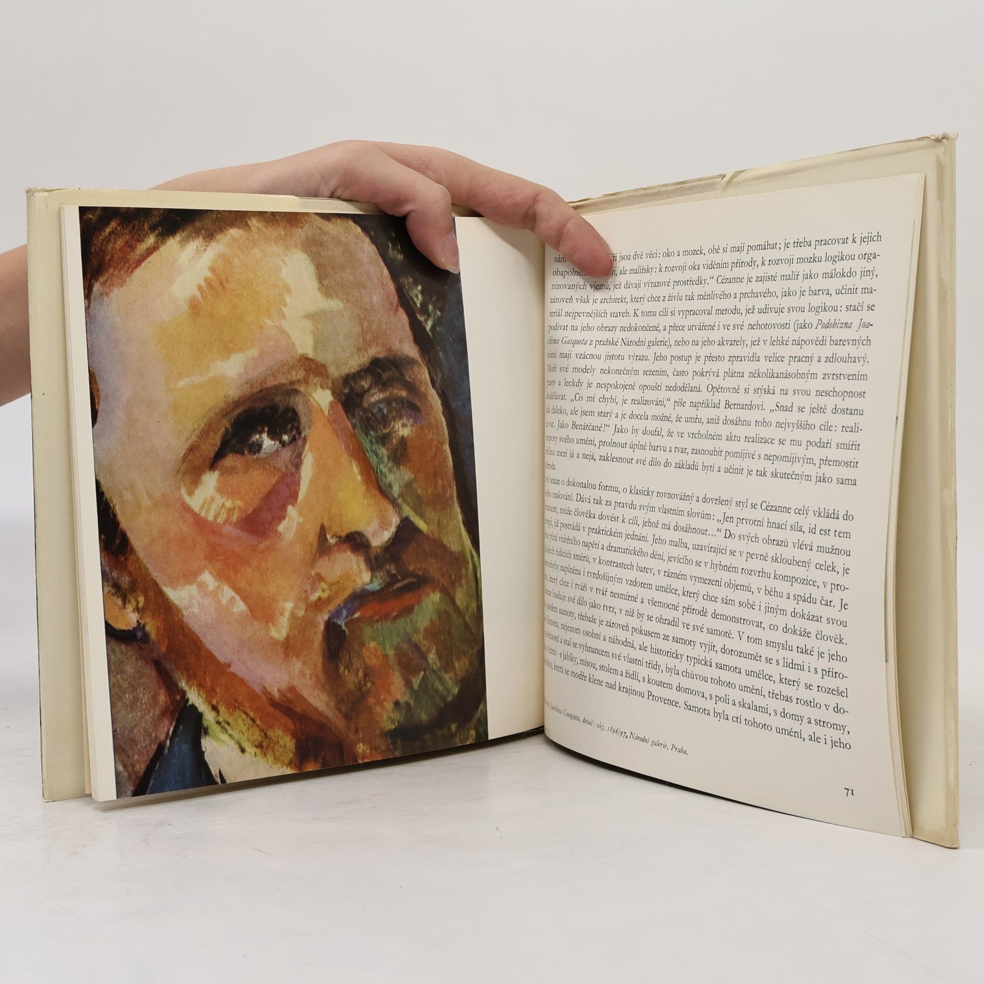 Miroslav Míčko Paul Cézanne