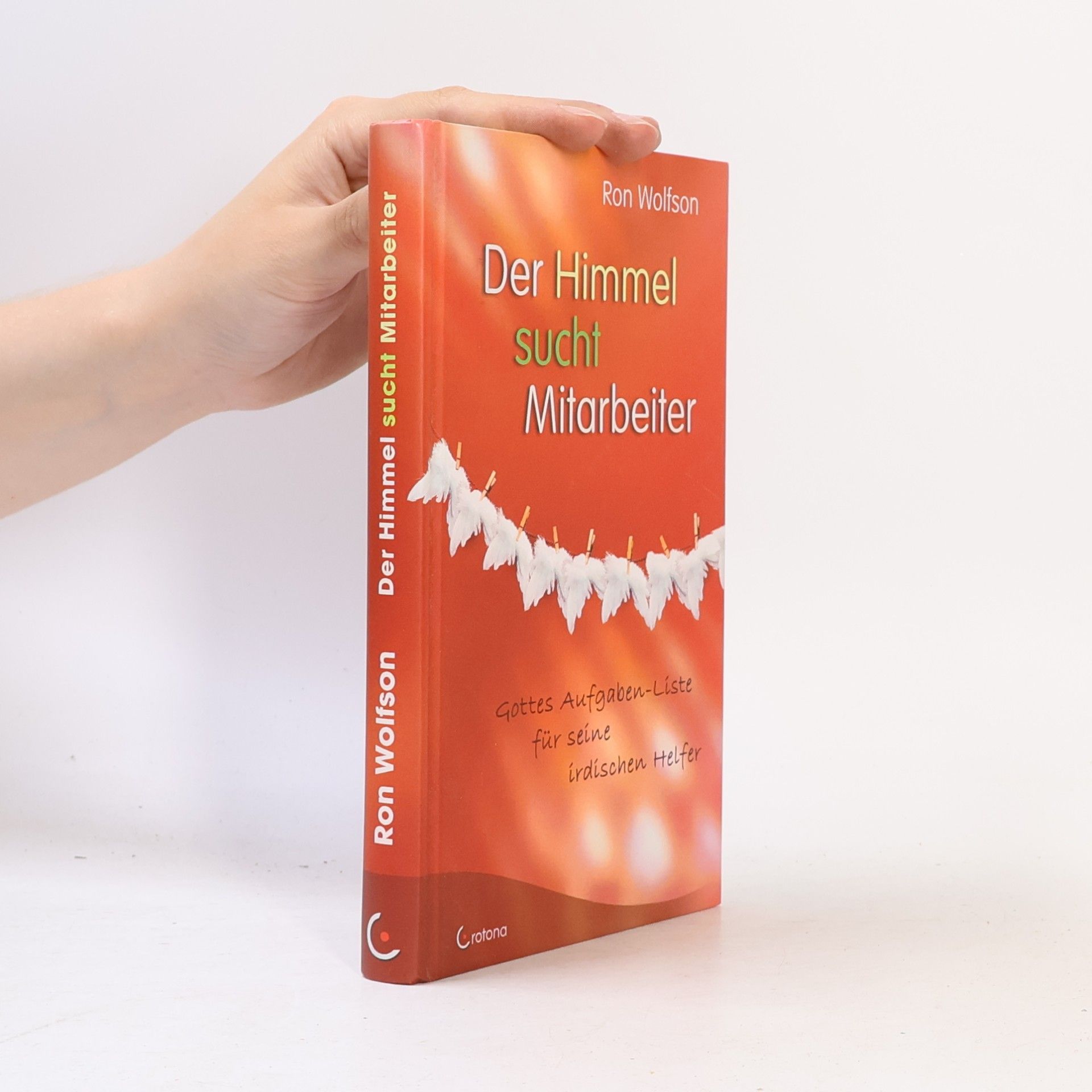 Ron Wolfson Der Himmel sucht Mitarbeiter