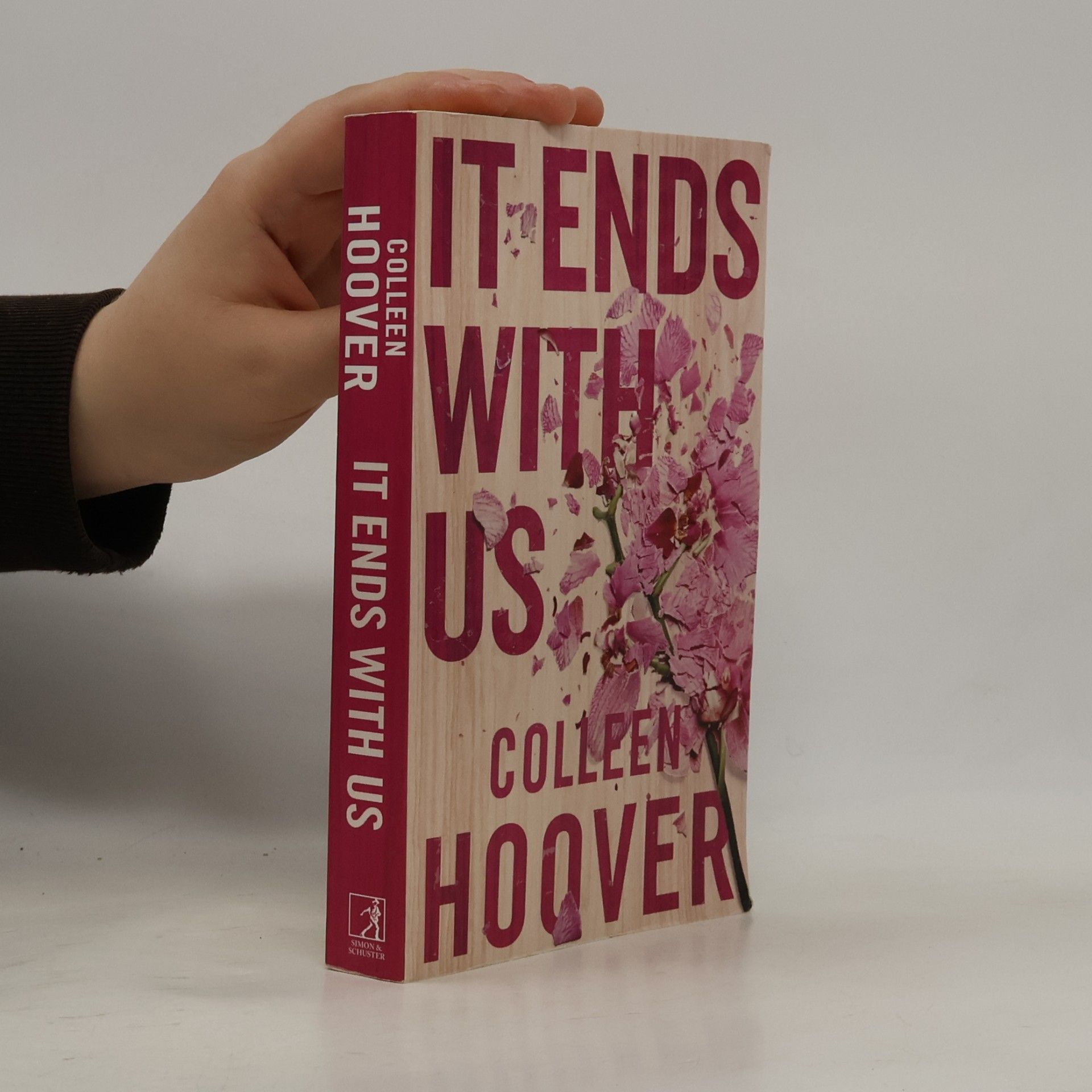 Colleen Hoover It Ends With Us