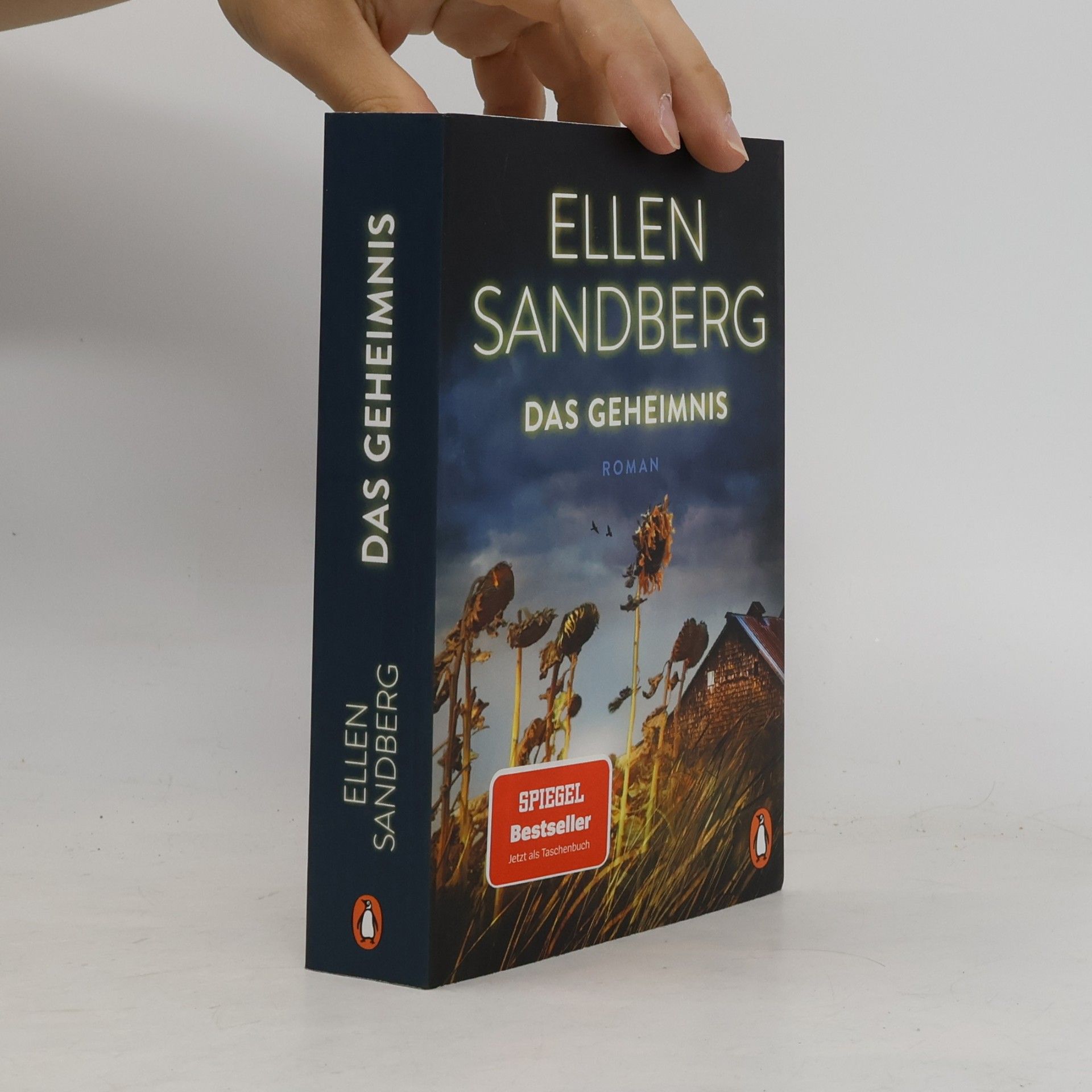 Ellen Sandberg Das Geheimnis