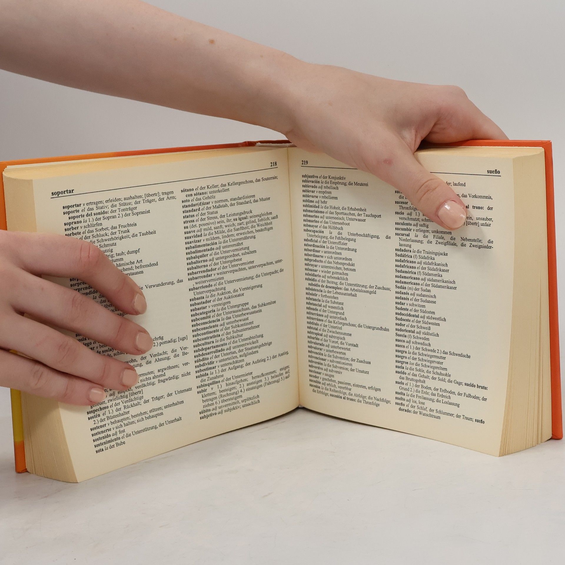 Spanisch-Wörterbuch