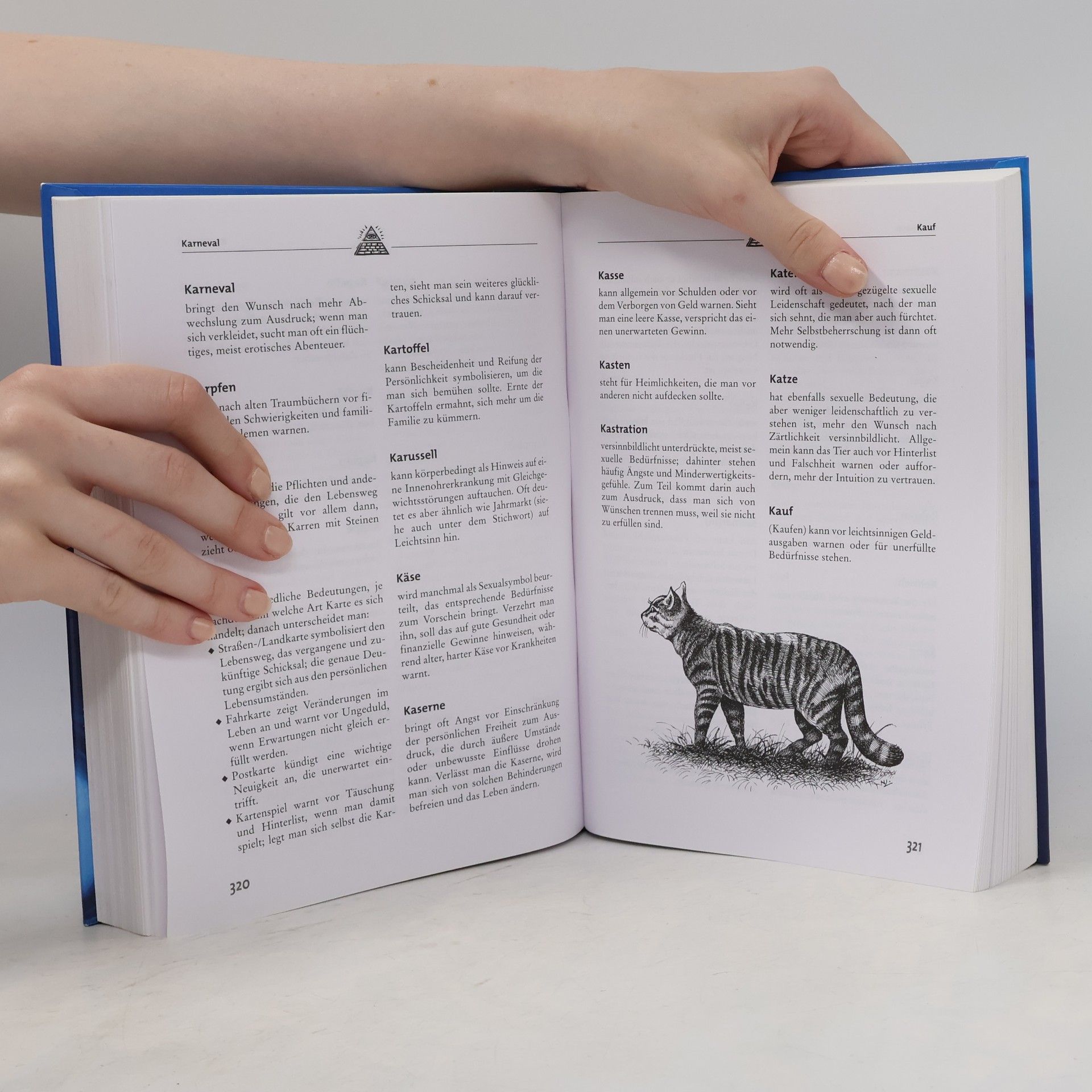 Stefanie Rödiger Das Superbuch der Traumdeutung