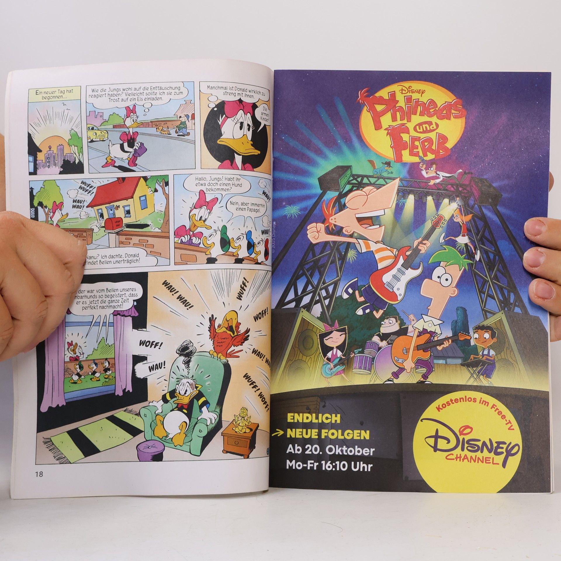 Walt Disney Die tollsten Geschichten von Donald Duck 461