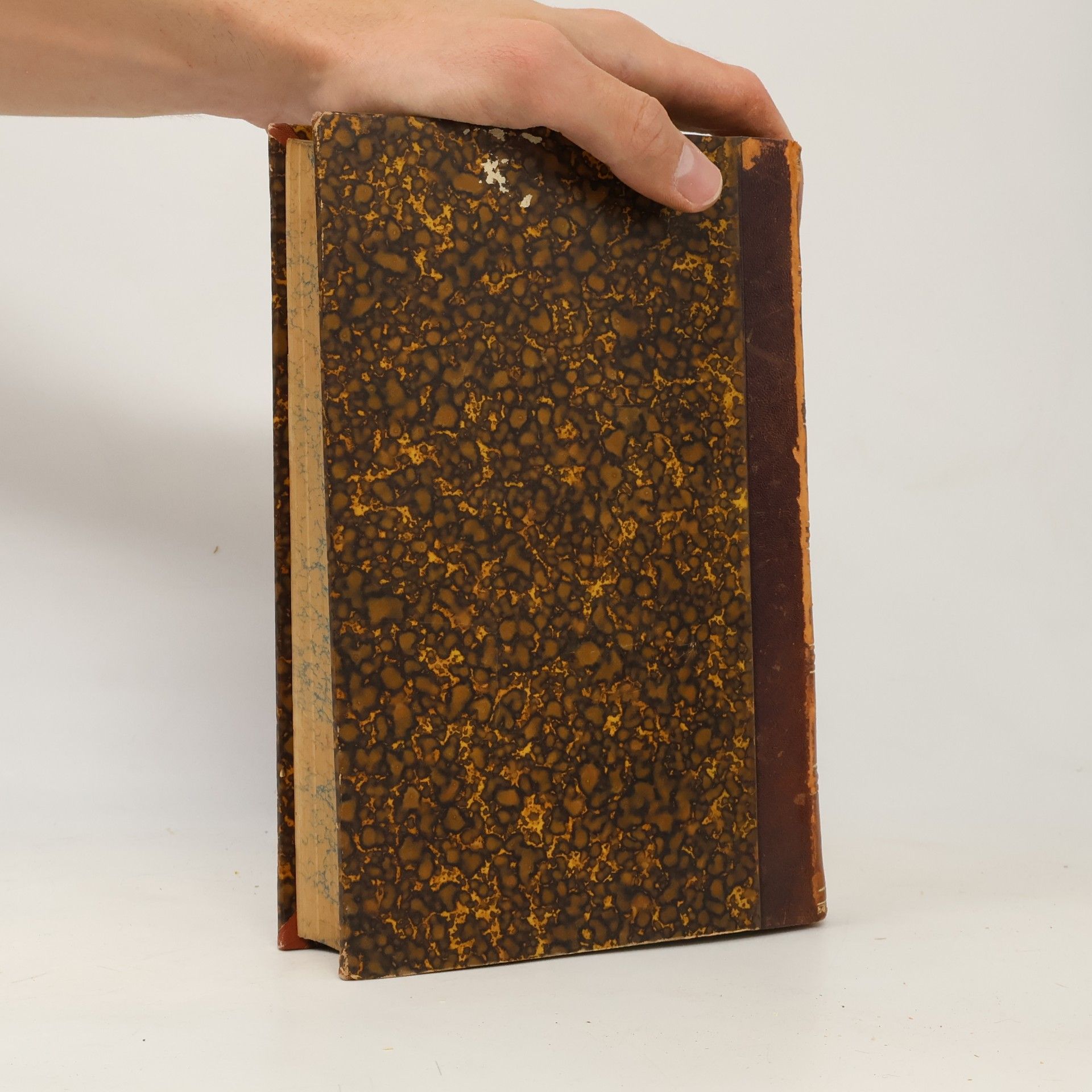 Autorenkollektiv Handbuch der Physiologie des Nervensystems 1