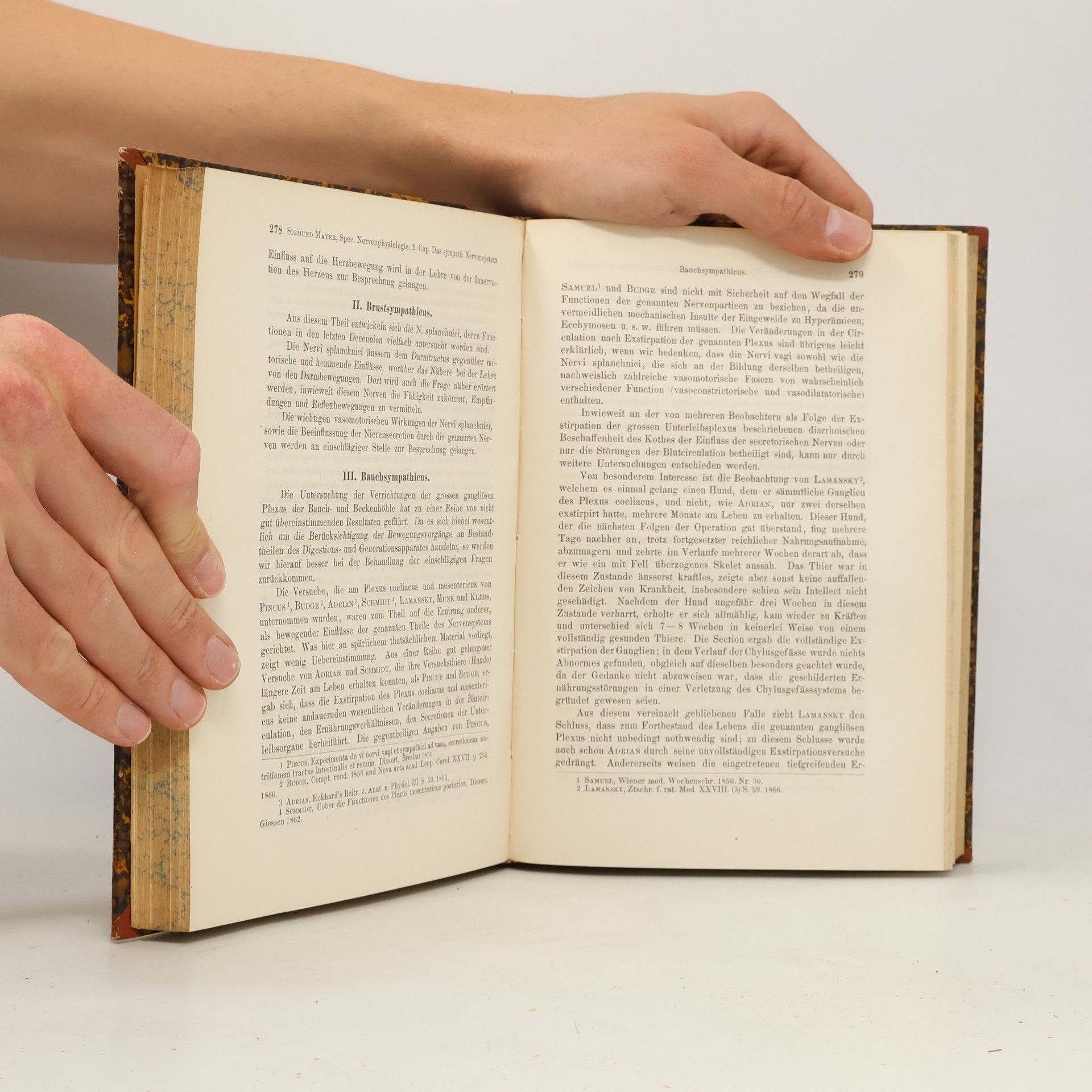 Autorenkollektiv Handbuch der Physiologie des Nervensystems 1