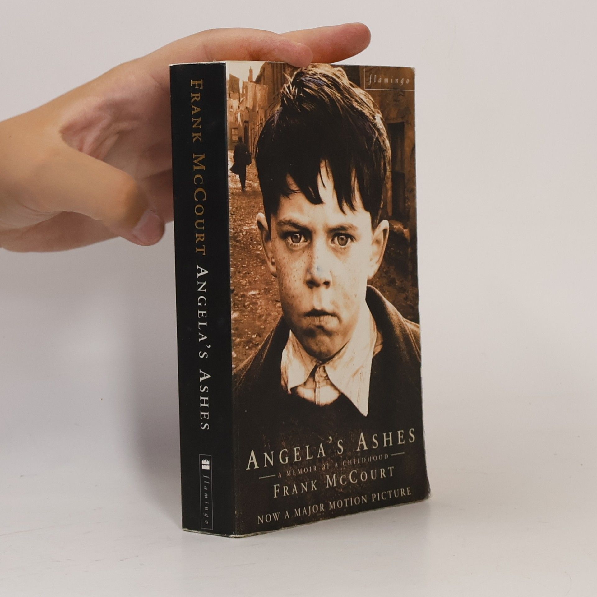 Frank McCourt Angela's Ashes