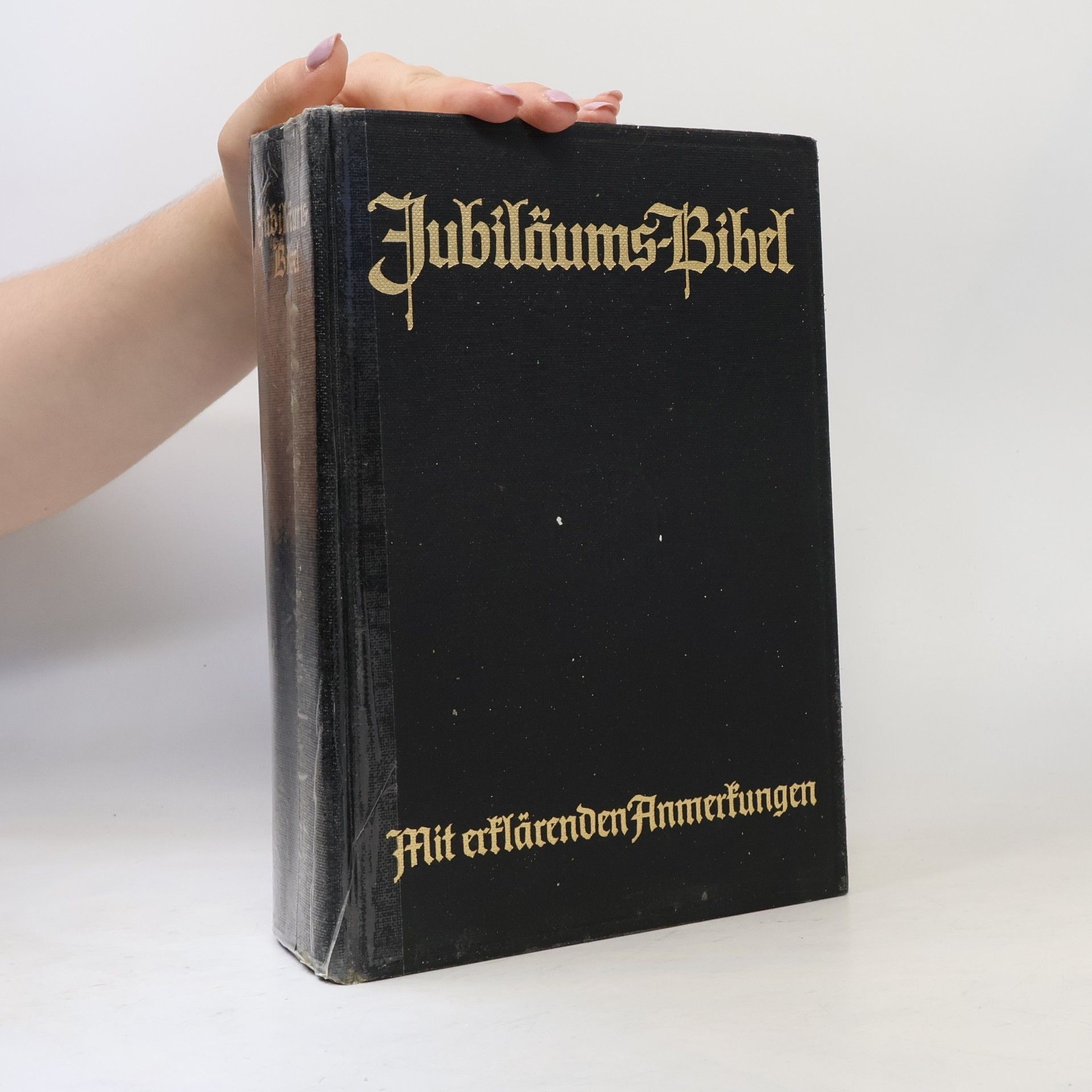 Autorenkollektiv Jubiläums-Bibel