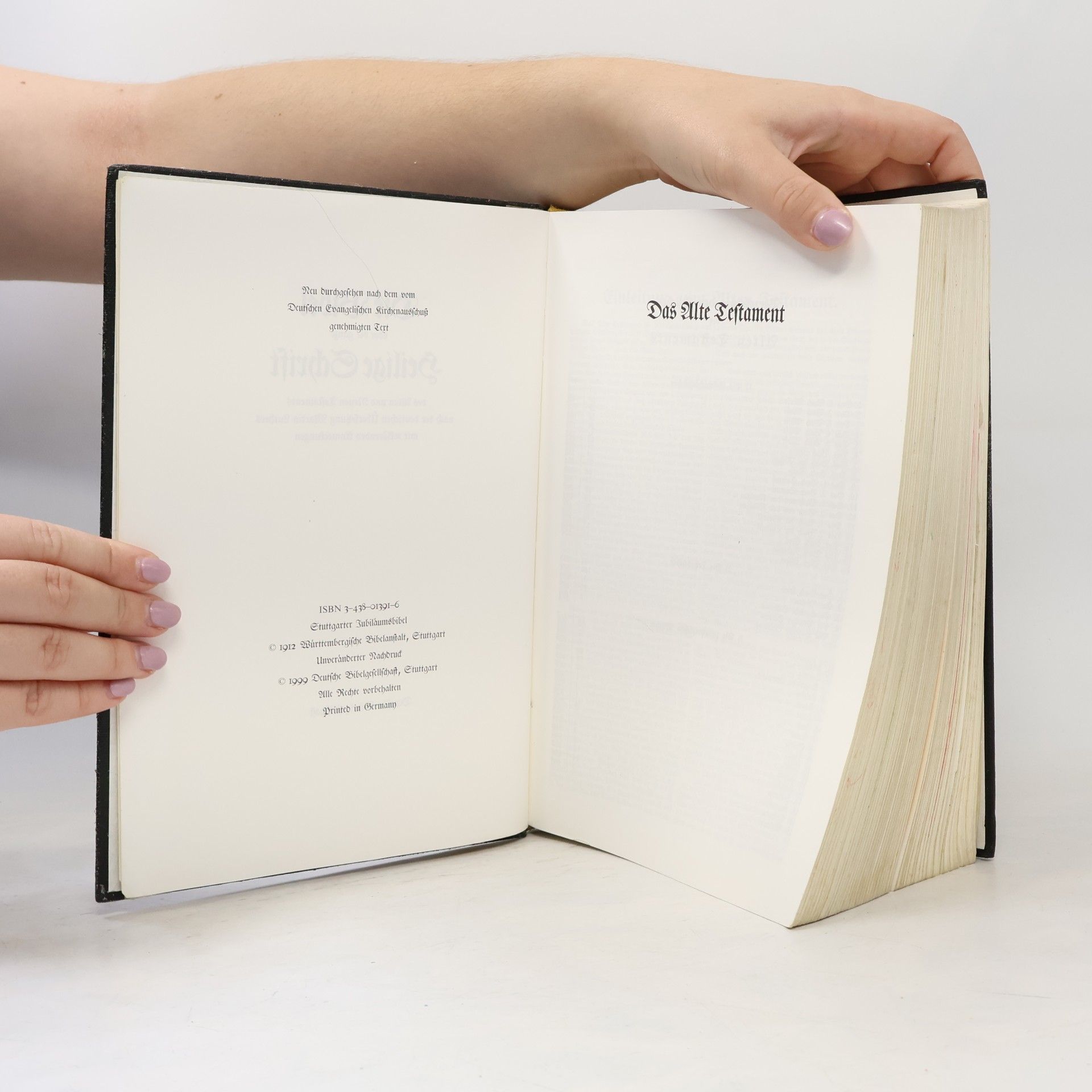 Autorenkollektiv Jubiläums-Bibel