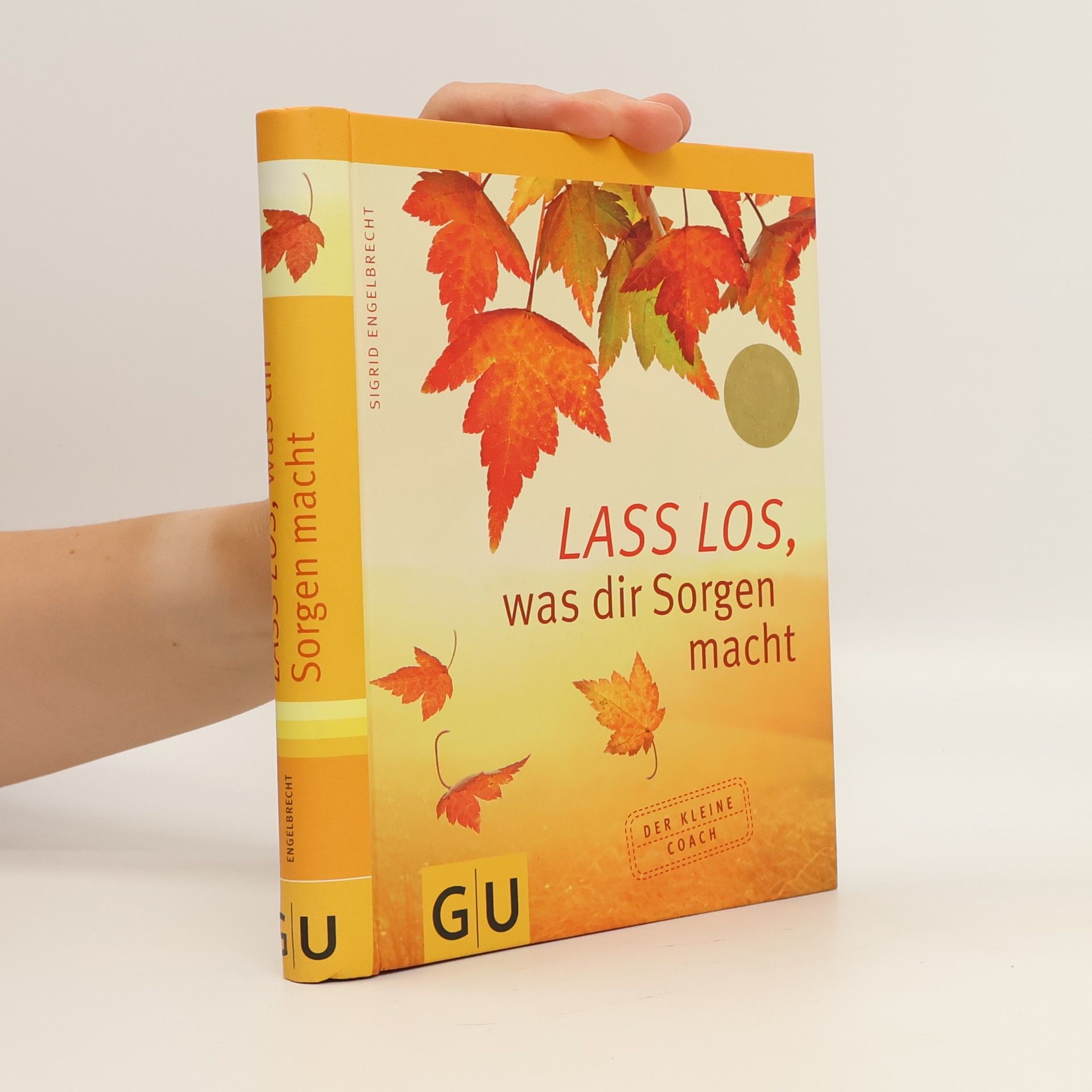 Sigrid Engelbrecht Lass los, was dir Sorgen macht