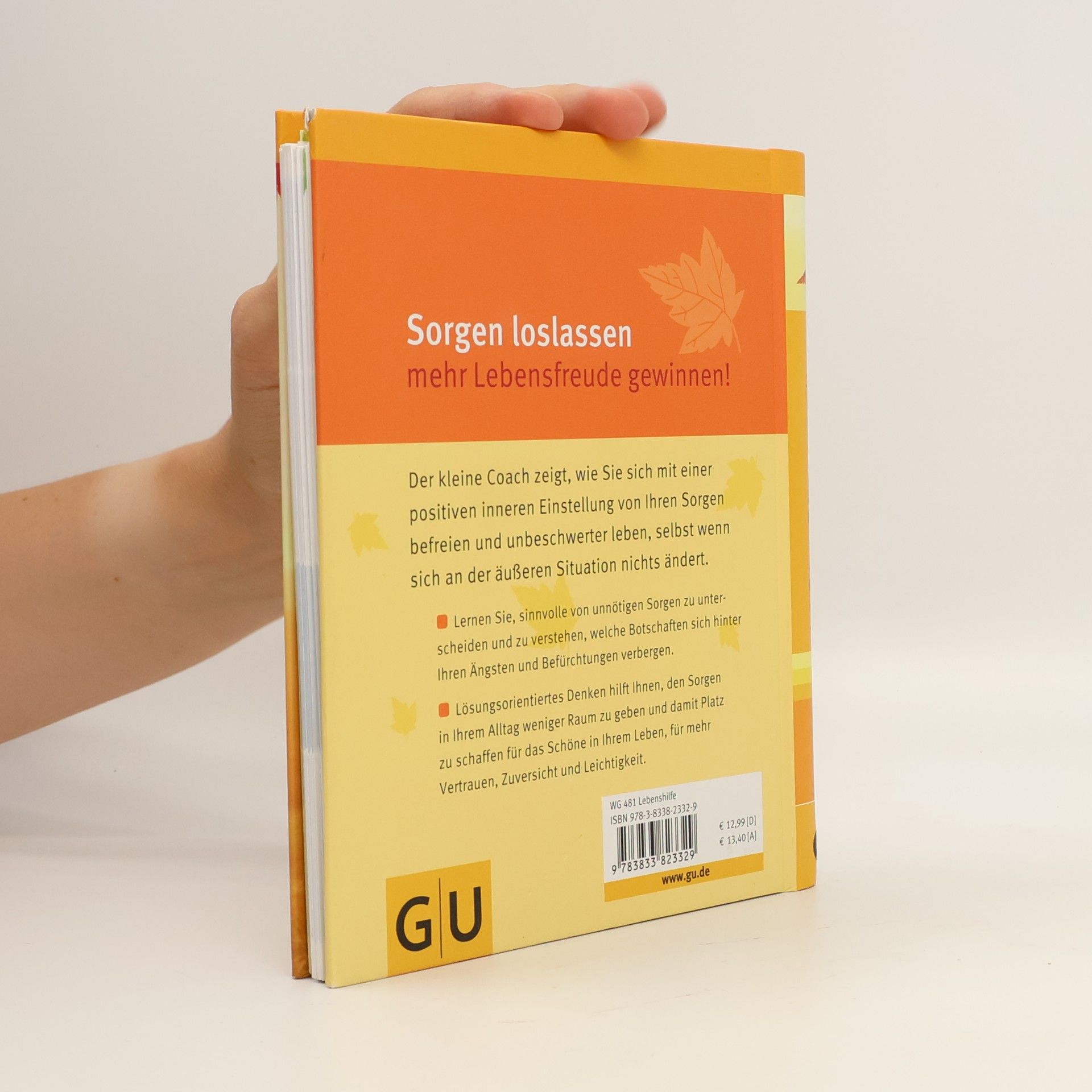 Sigrid Engelbrecht Lass los, was dir Sorgen macht