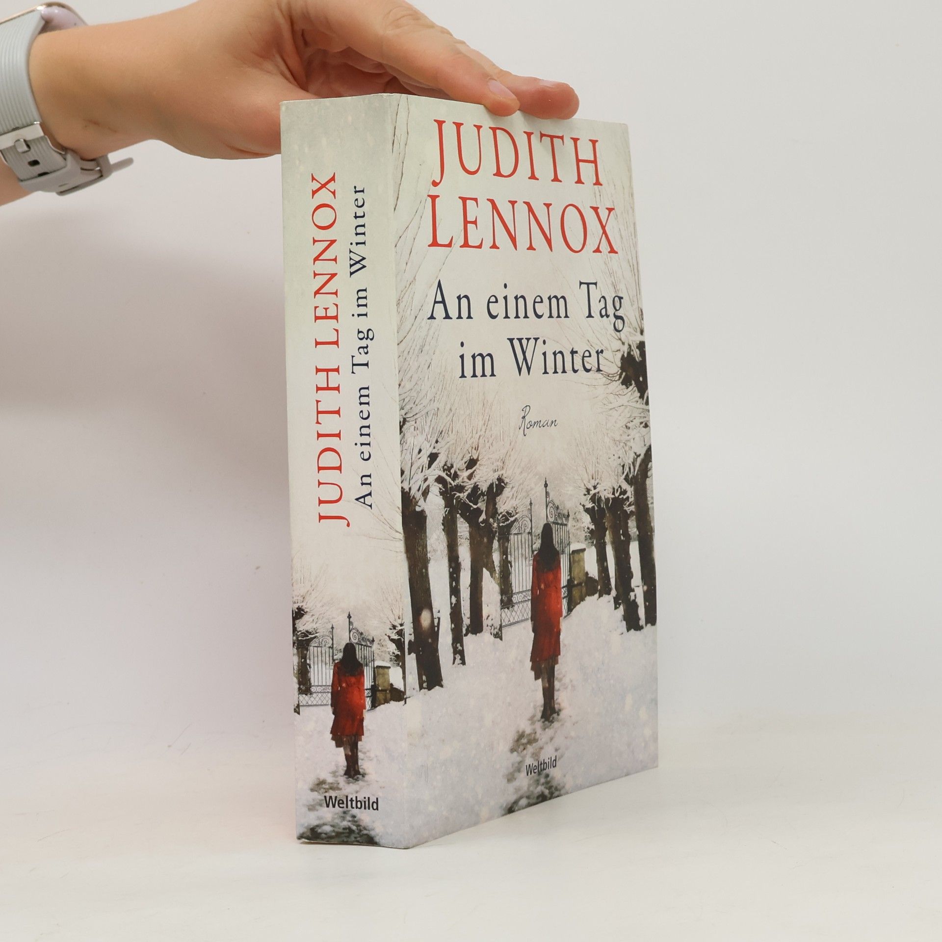 Judith Lennox An einem Tag im Winter