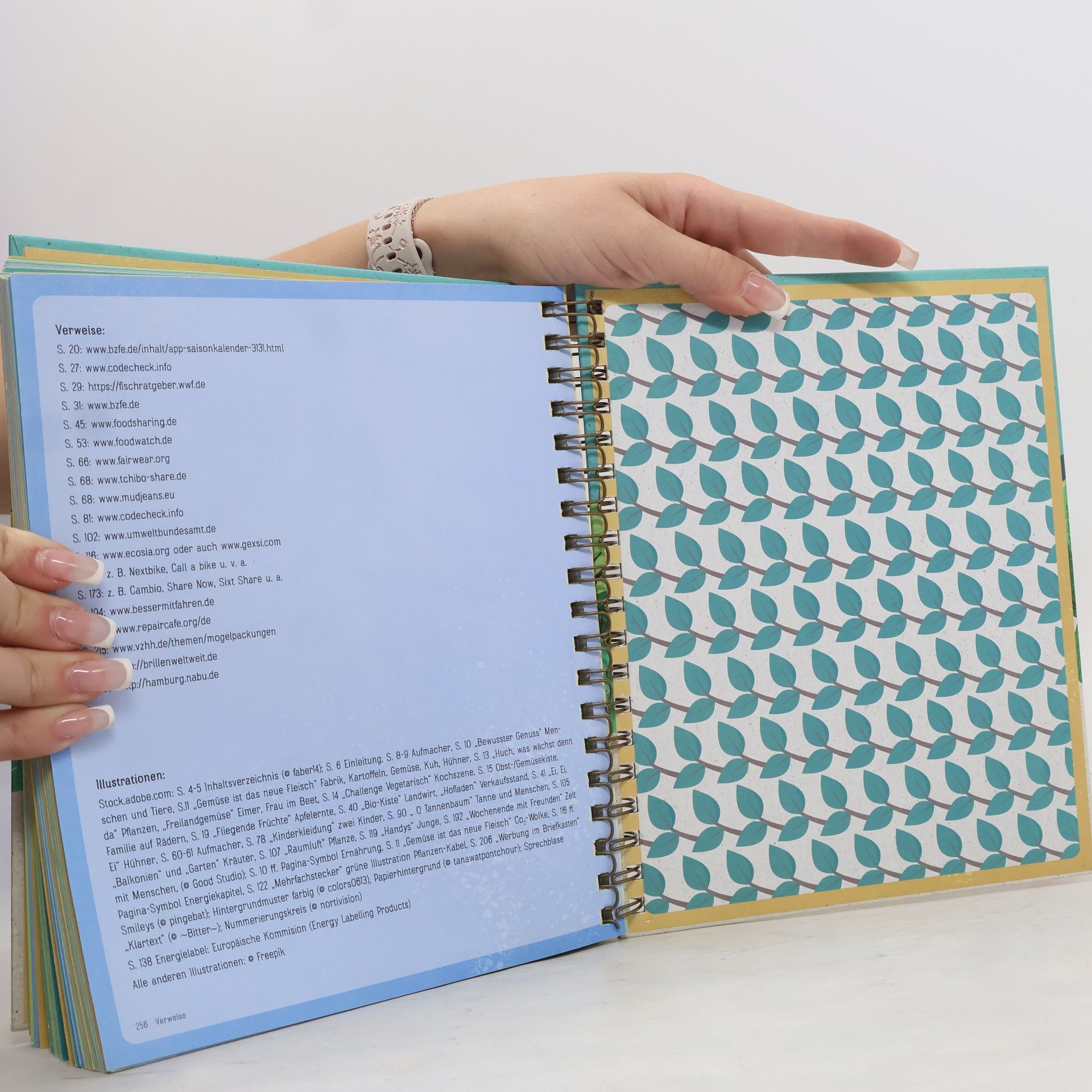 Autorenkollektiv Family for Future - Das große Umweltbuch für die ganze Familie